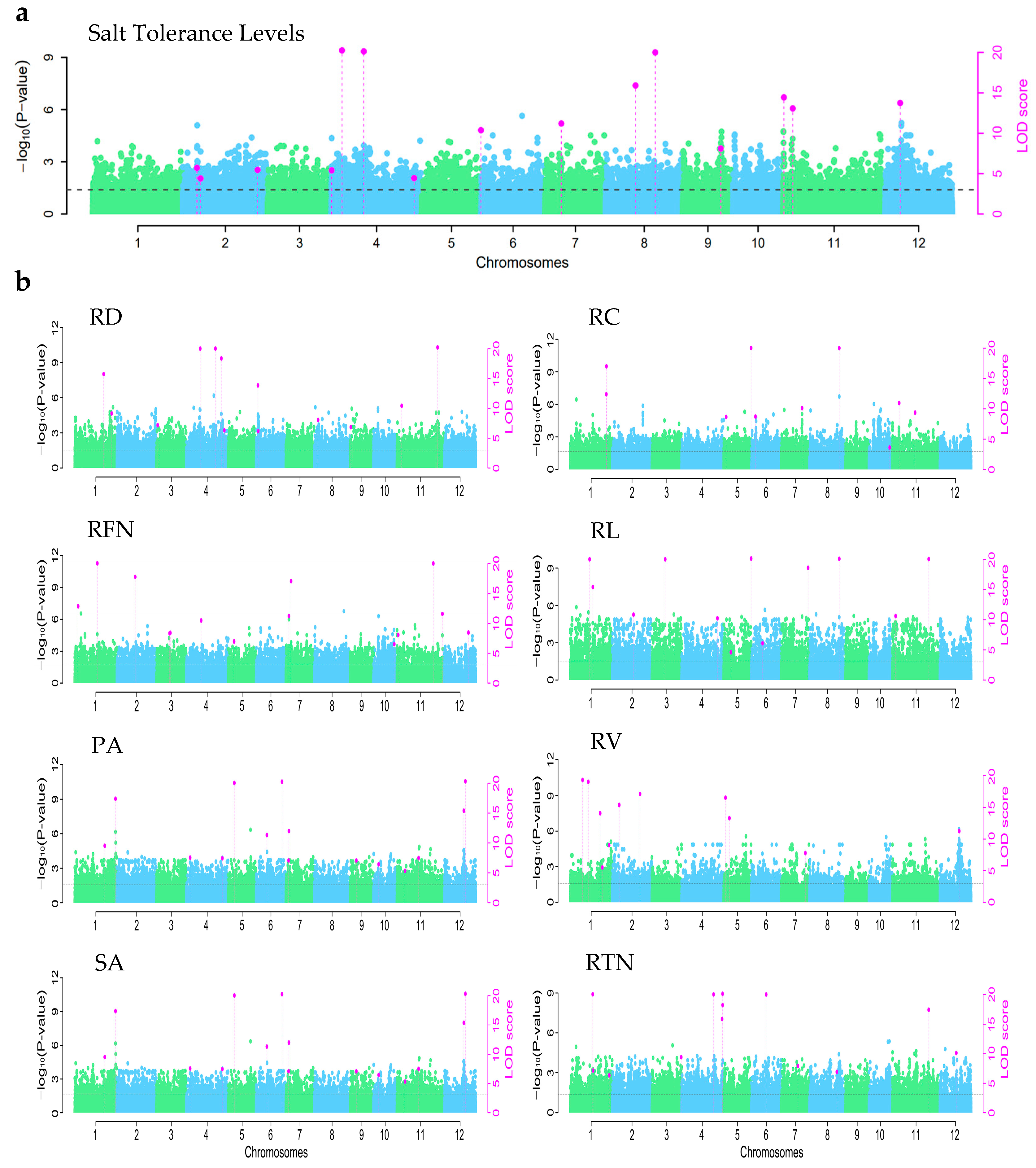 Life 15 01595 g002 Life 15 01595 g002