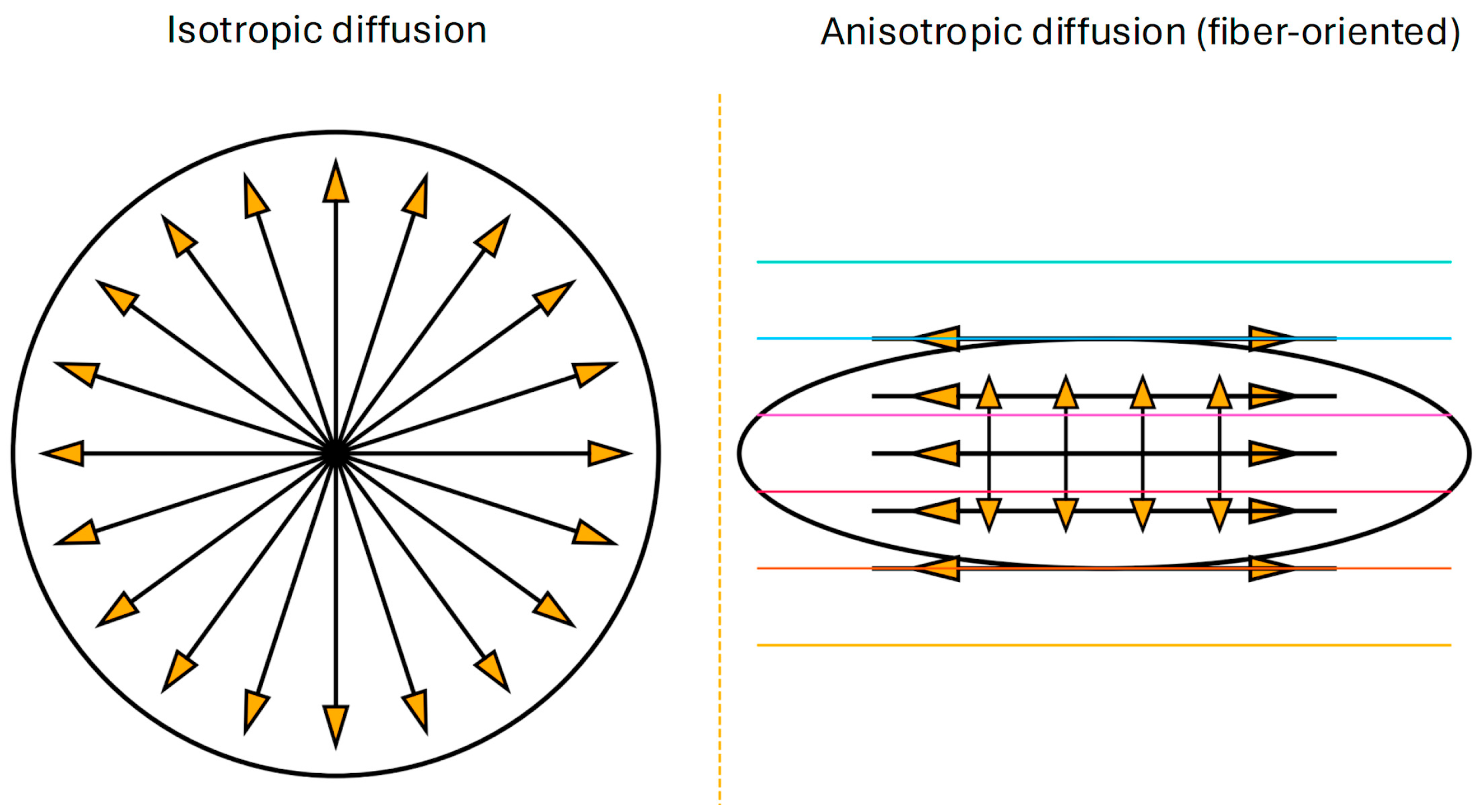 Life 15 01599 g001 Life 15 01599 g001
