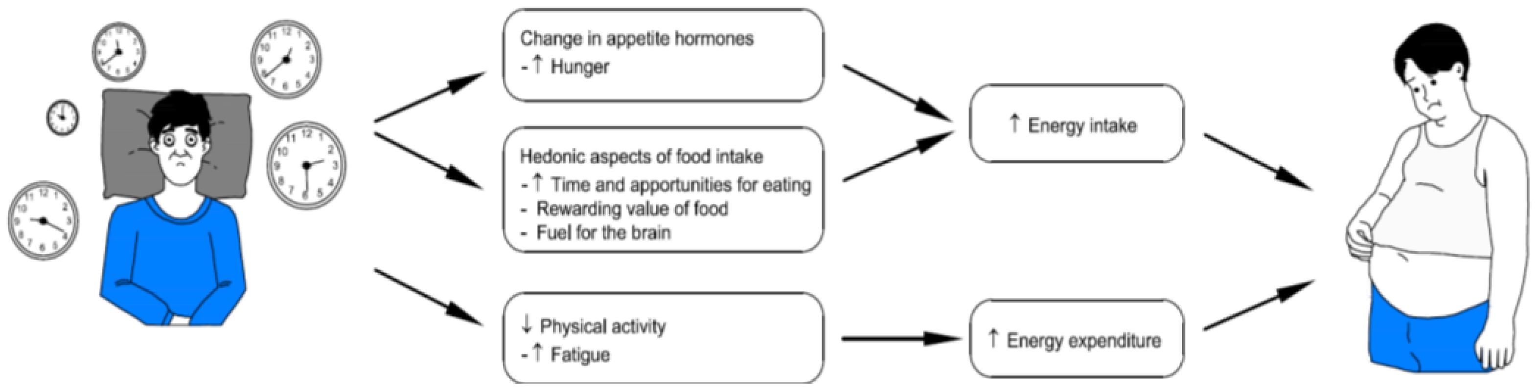 Life 15 01602 g002 Life 15 01602 g002