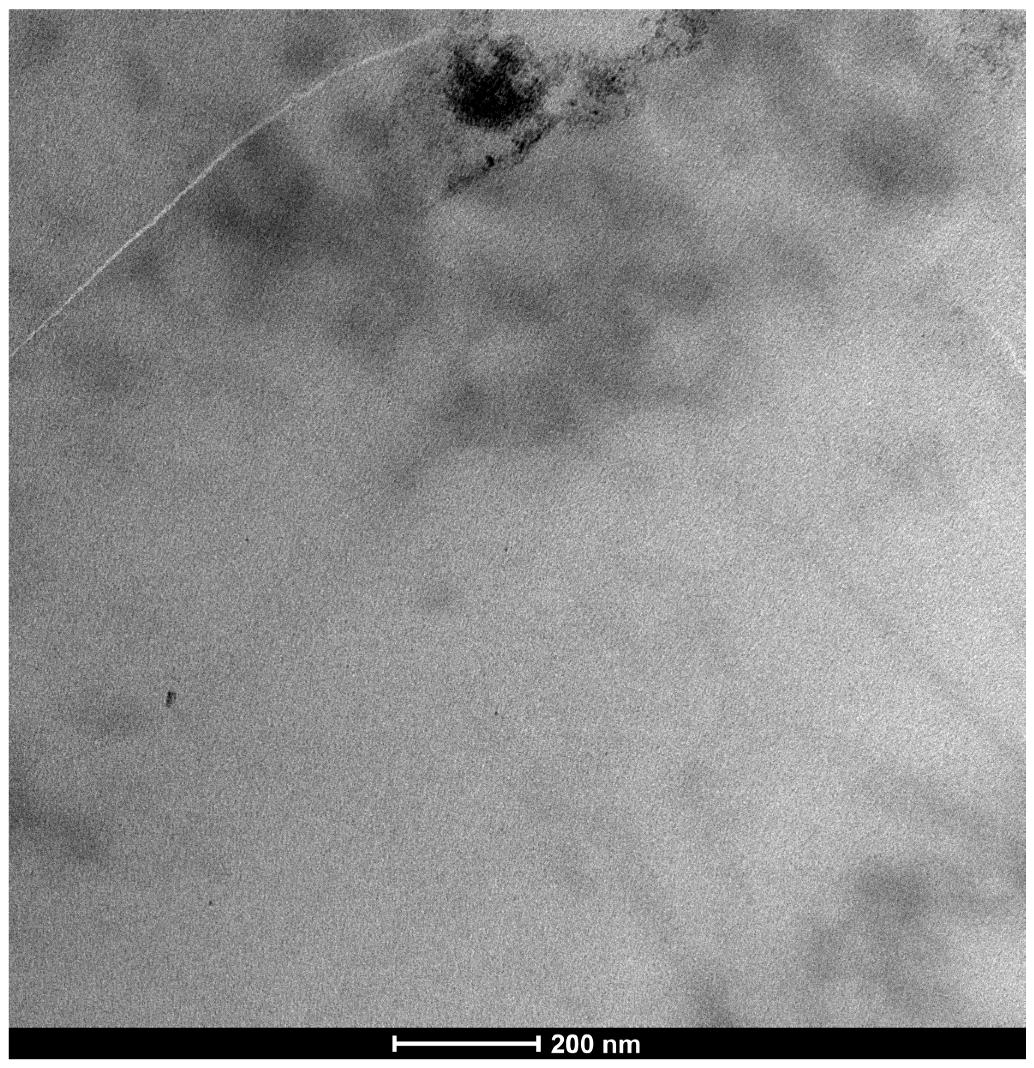 Life 15 01611 g007 Life 15 01611 g007