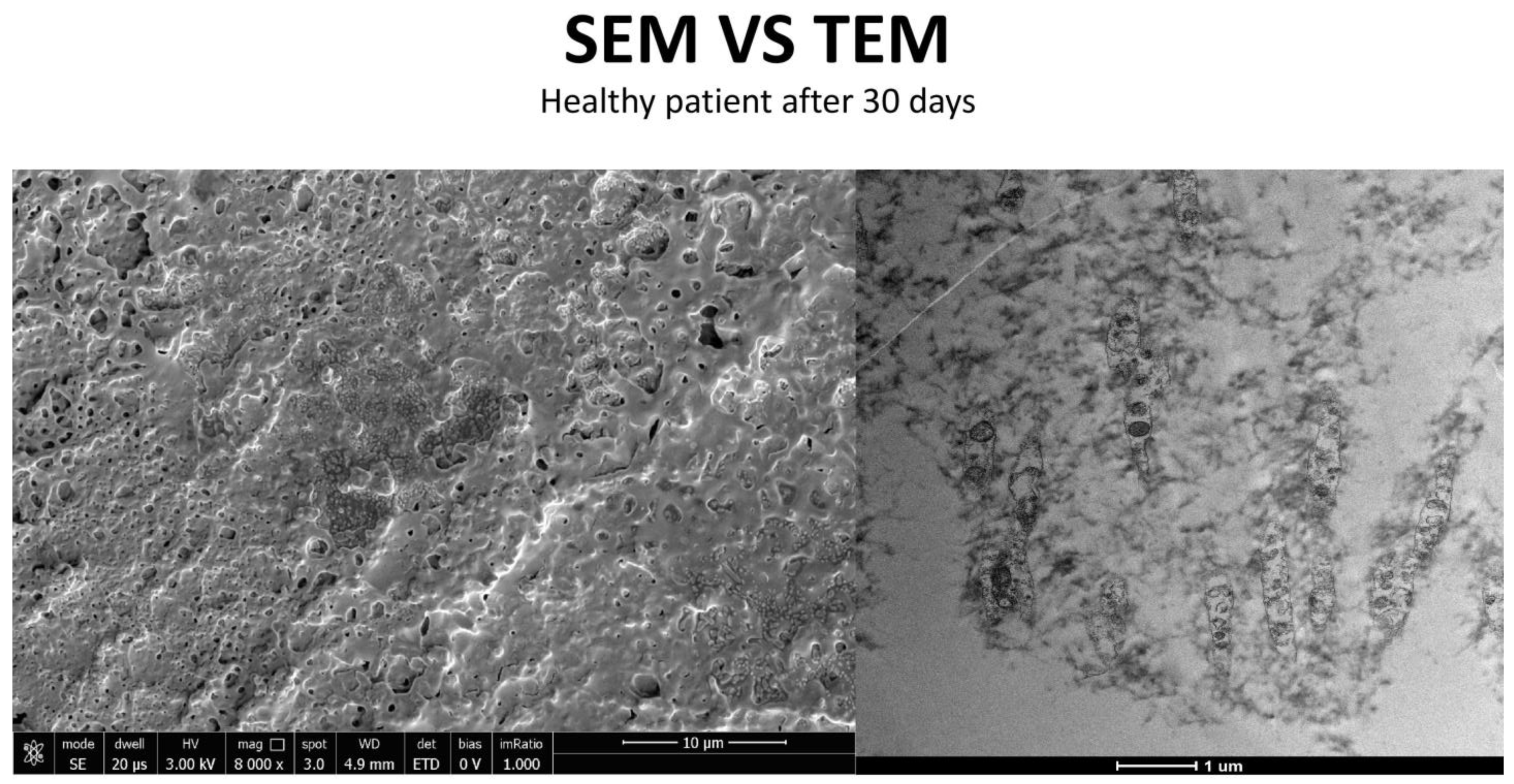 Life 15 01611 g013 Life 15 01611 g013