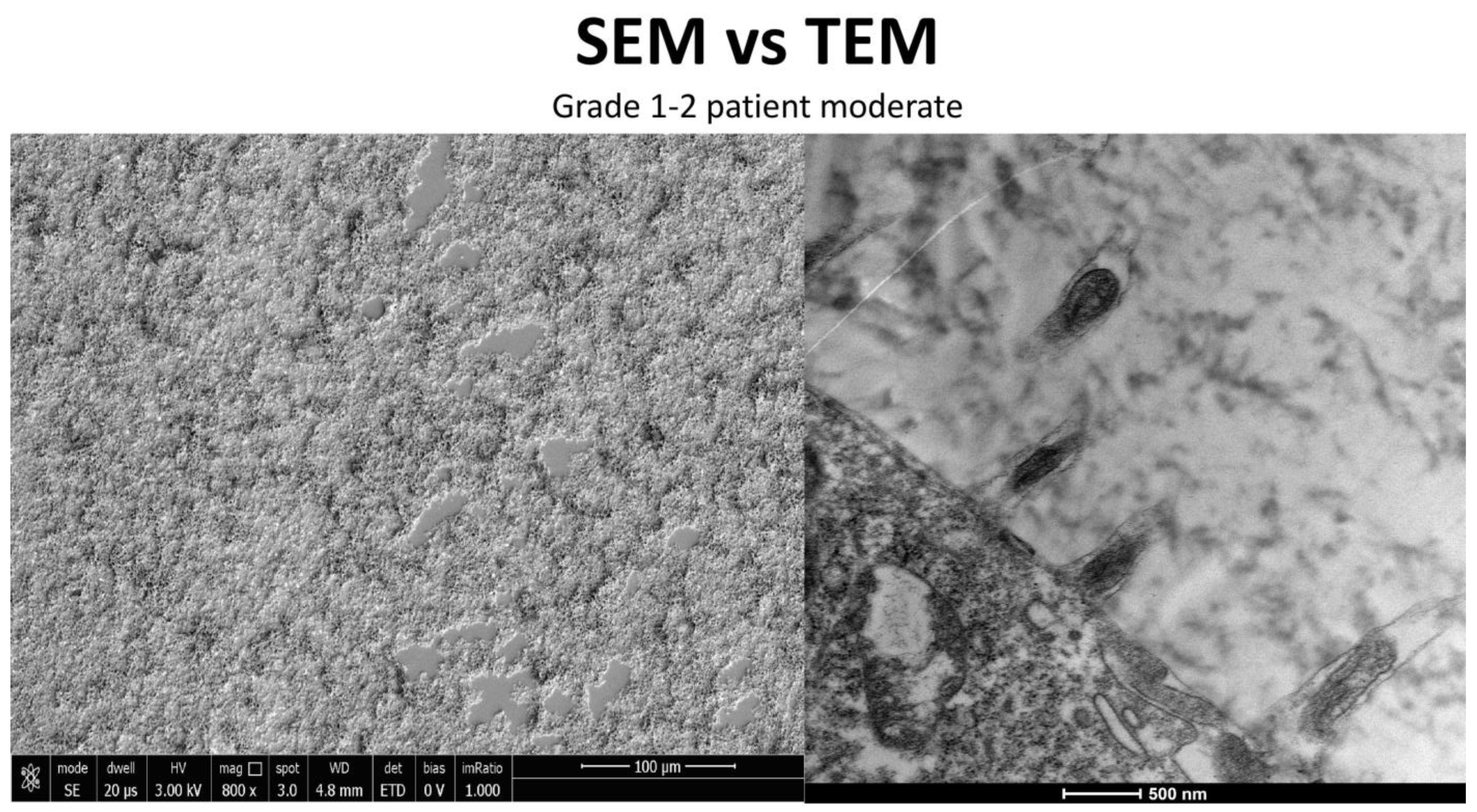 Life 15 01611 g014 Life 15 01611 g014