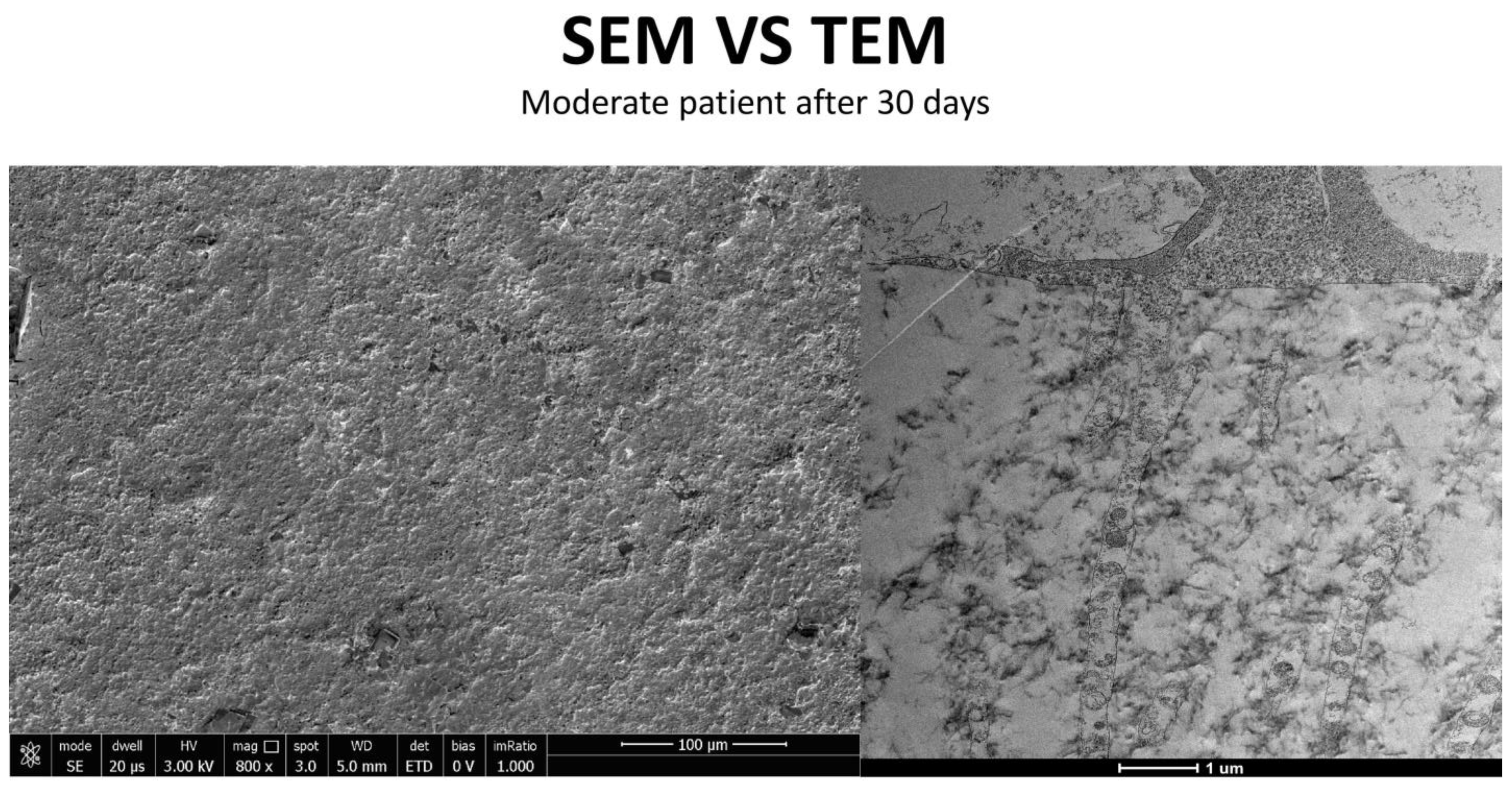 Life 15 01611 g016 Life 15 01611 g016