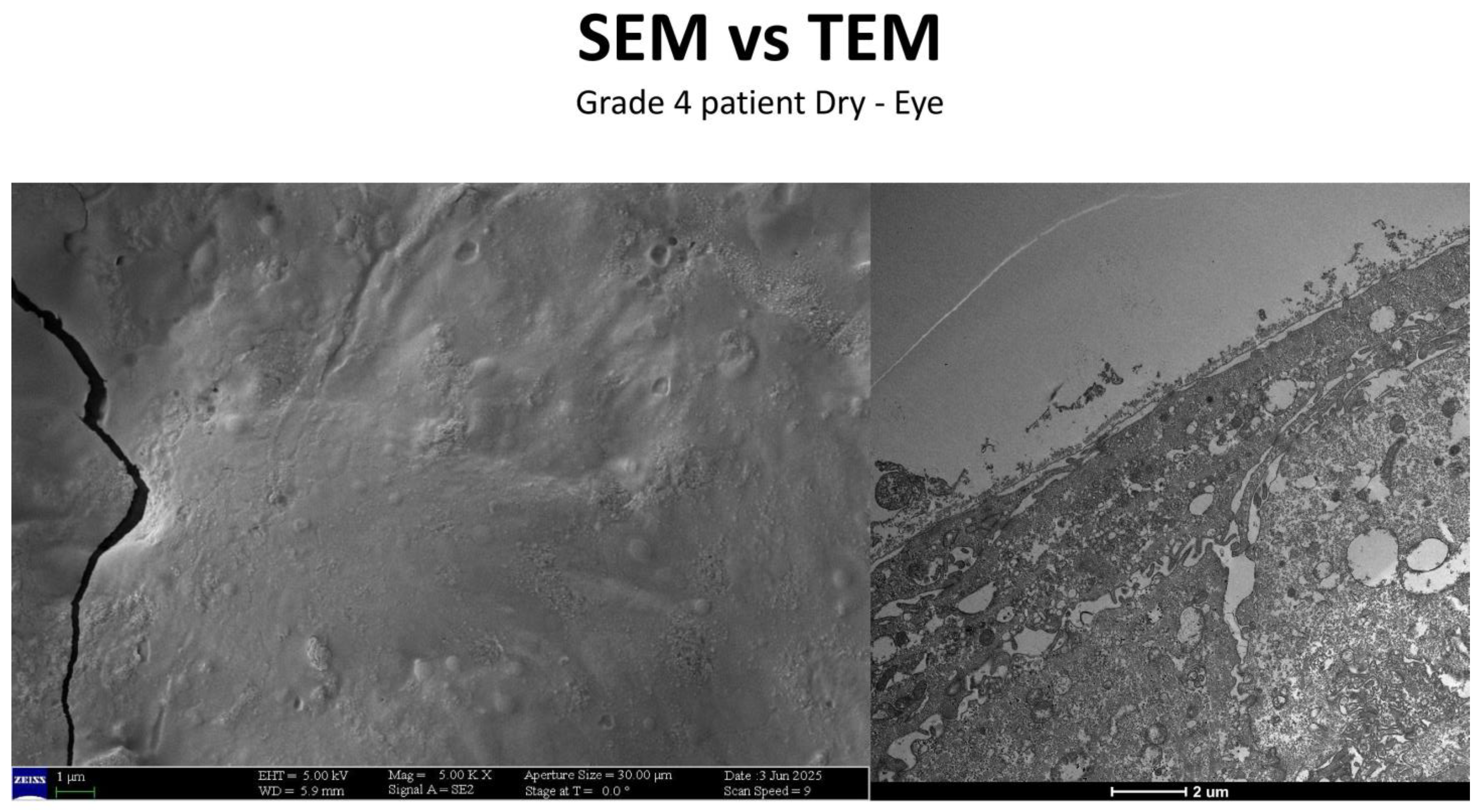 Life 15 01611 g017 Life 15 01611 g017