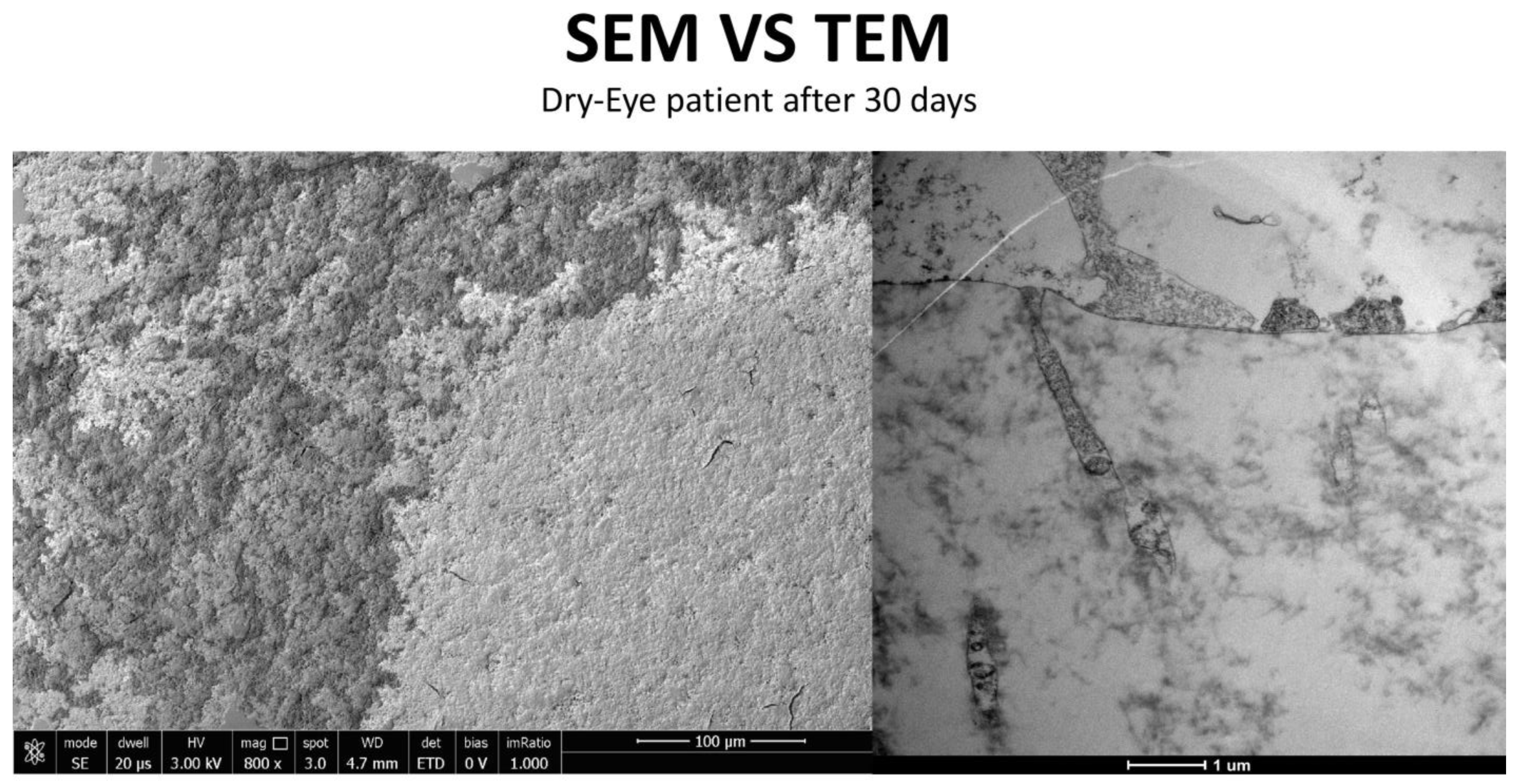 Life 15 01611 g021 Life 15 01611 g021