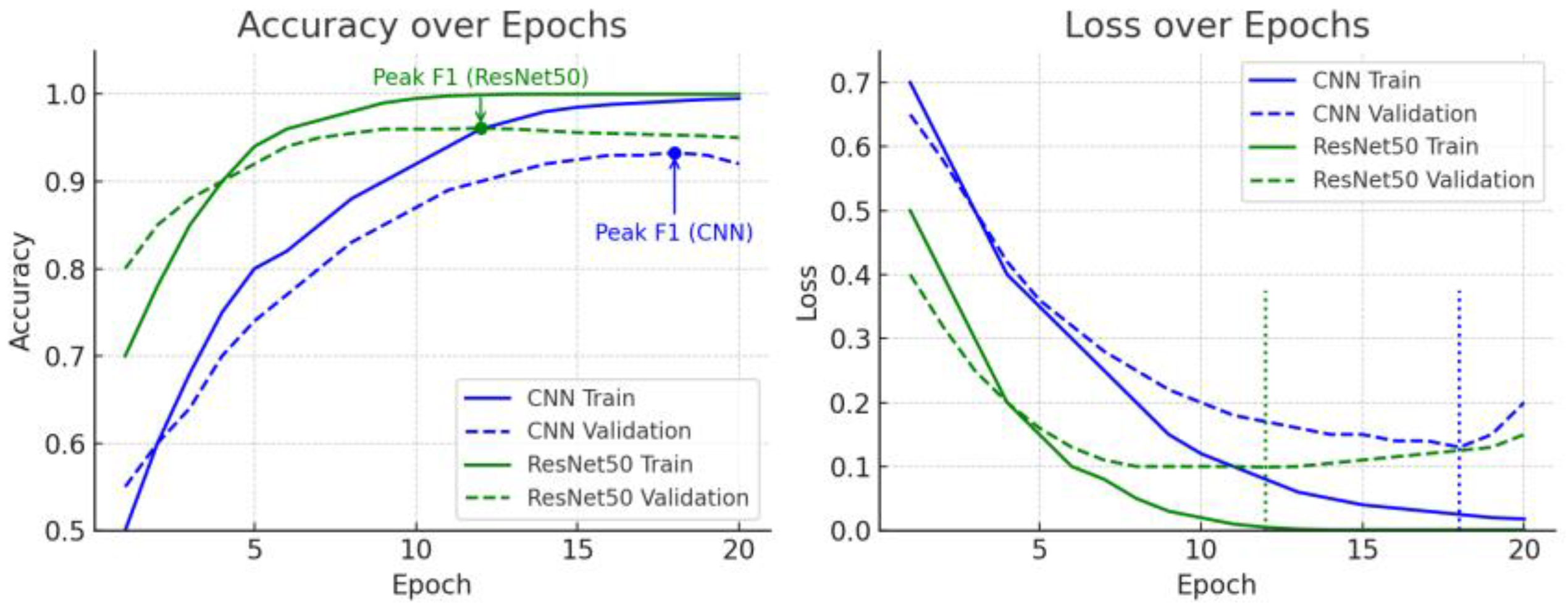 Life 15 01614 g007 Life 15 01614 g007