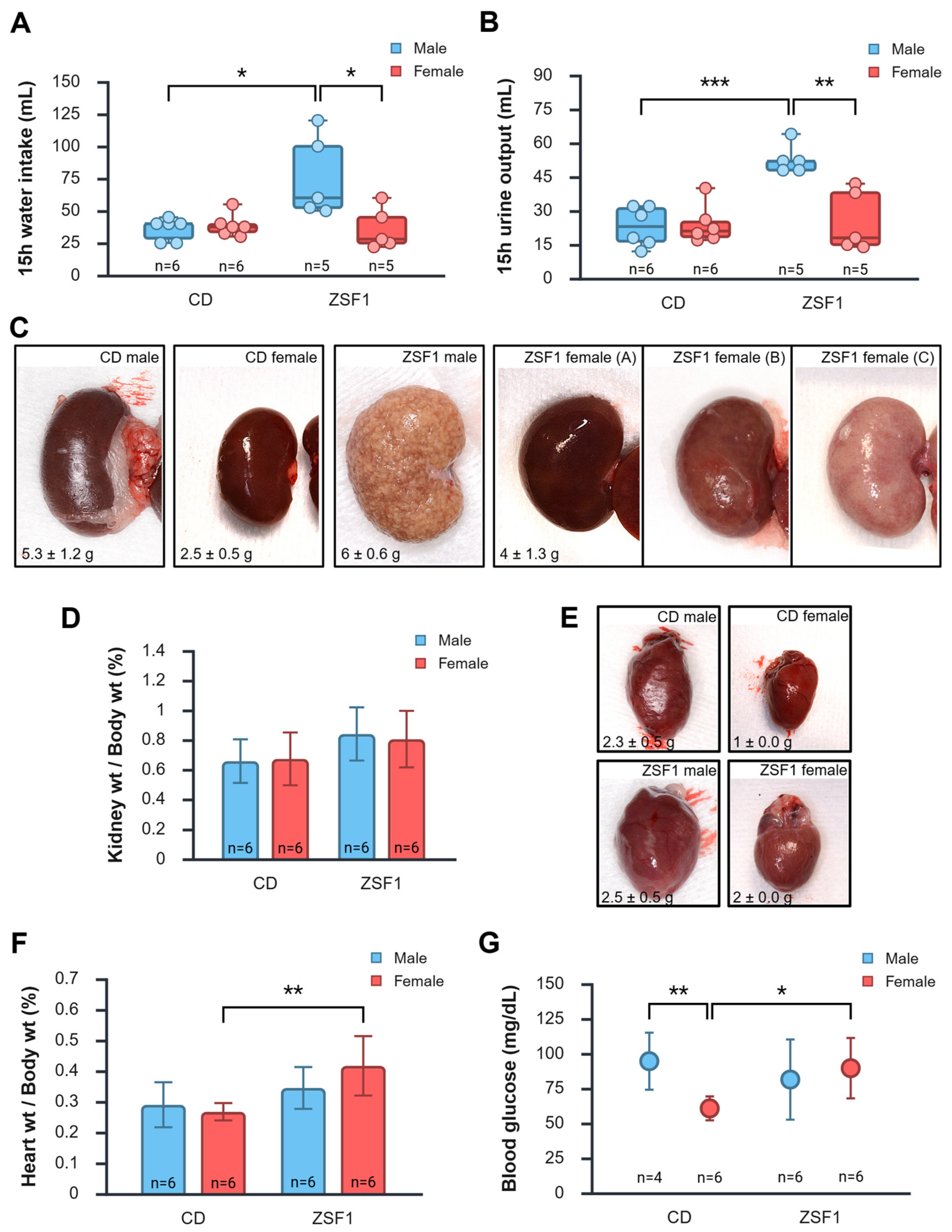 Life 15 01627 g005 Life 15 01627 g005