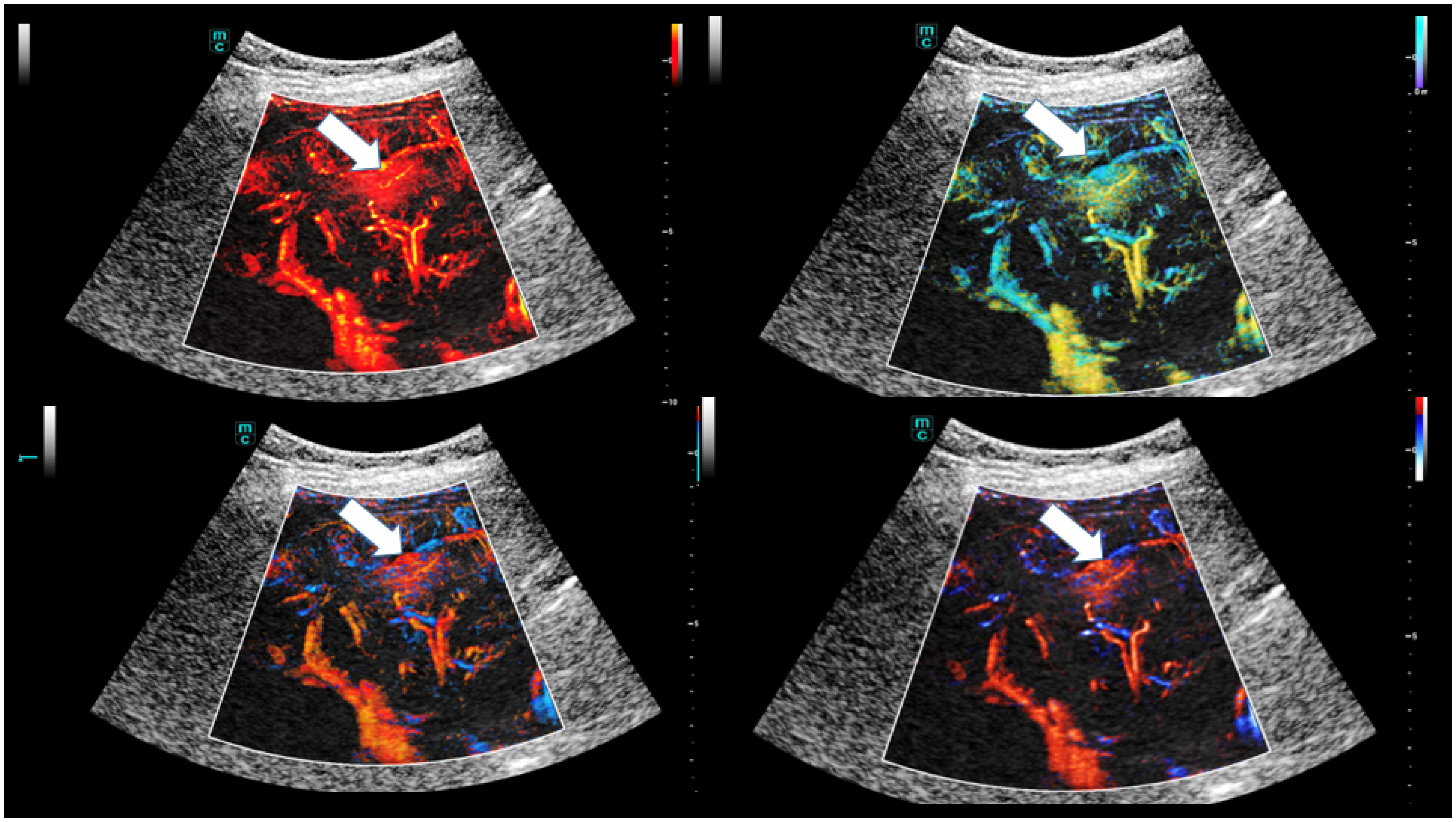 Life 15 01631 g002 Life 15 01631 g002