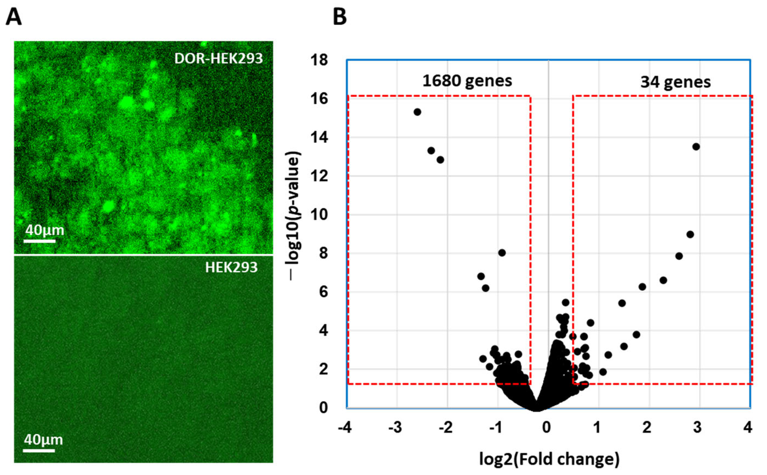 Life 15 01636 g001 Life 15 01636 g001