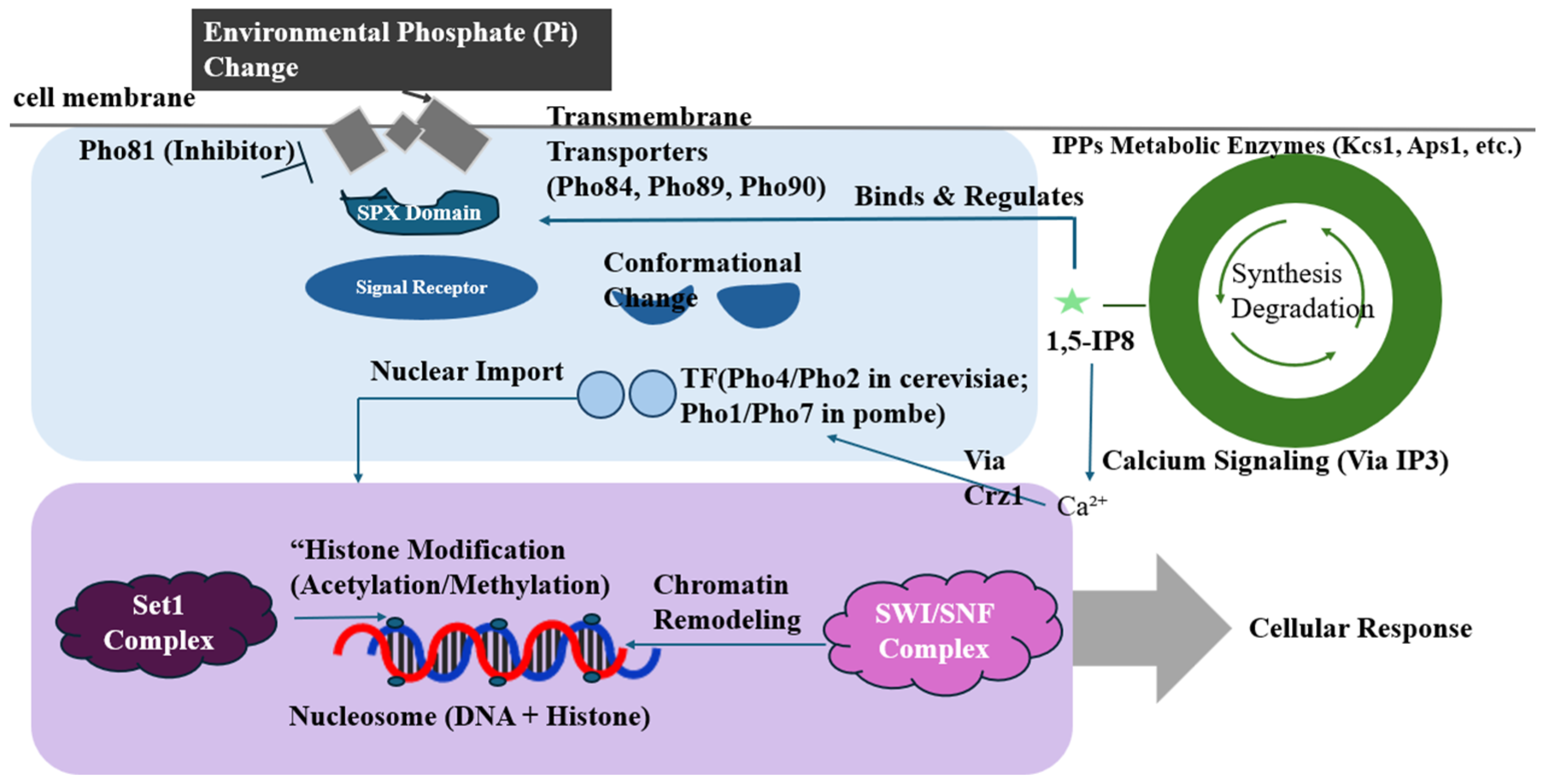 Life 15 01676 g002 Life 15 01676 g002