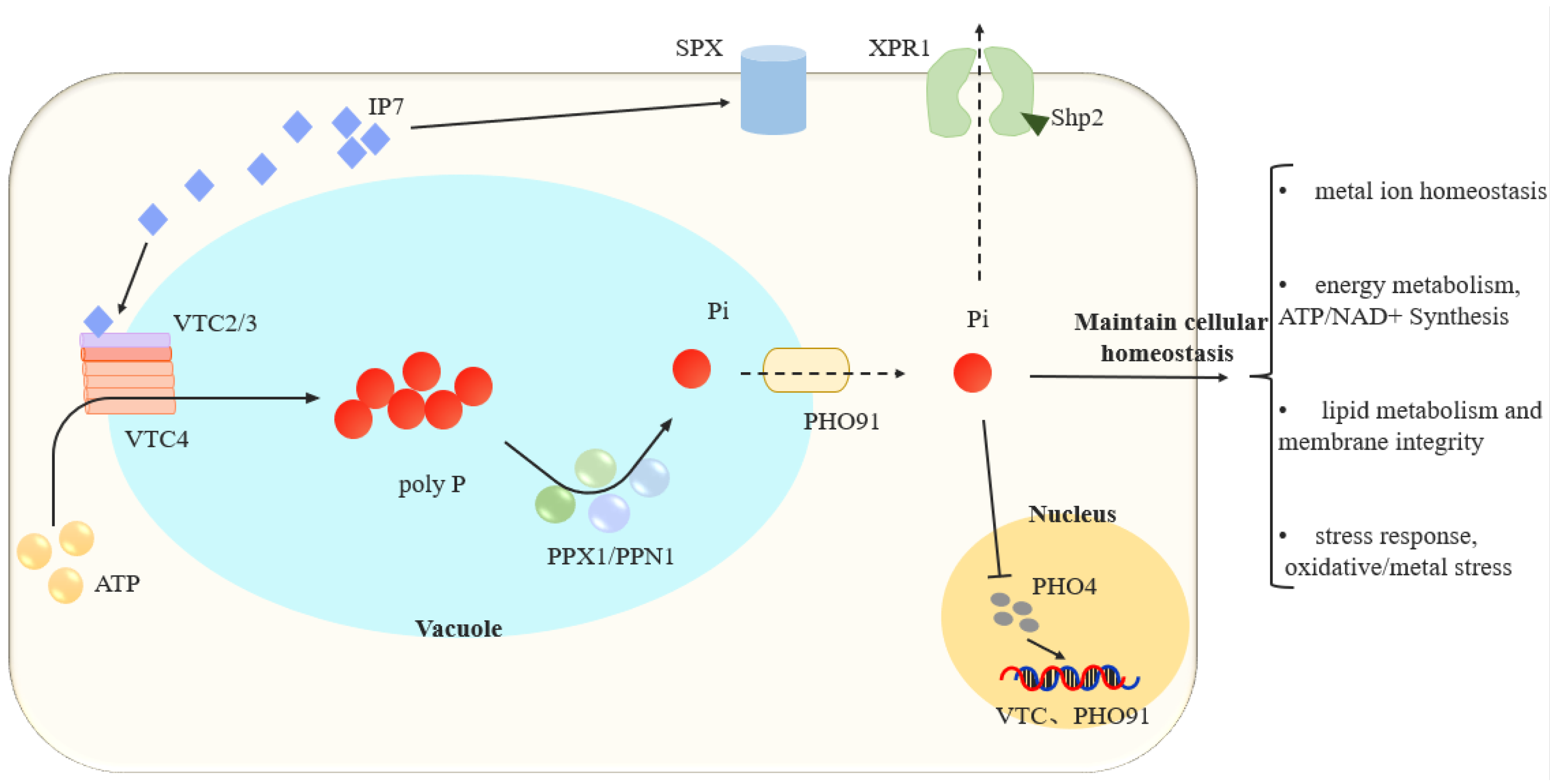 Life 15 01676 g003 Life 15 01676 g003