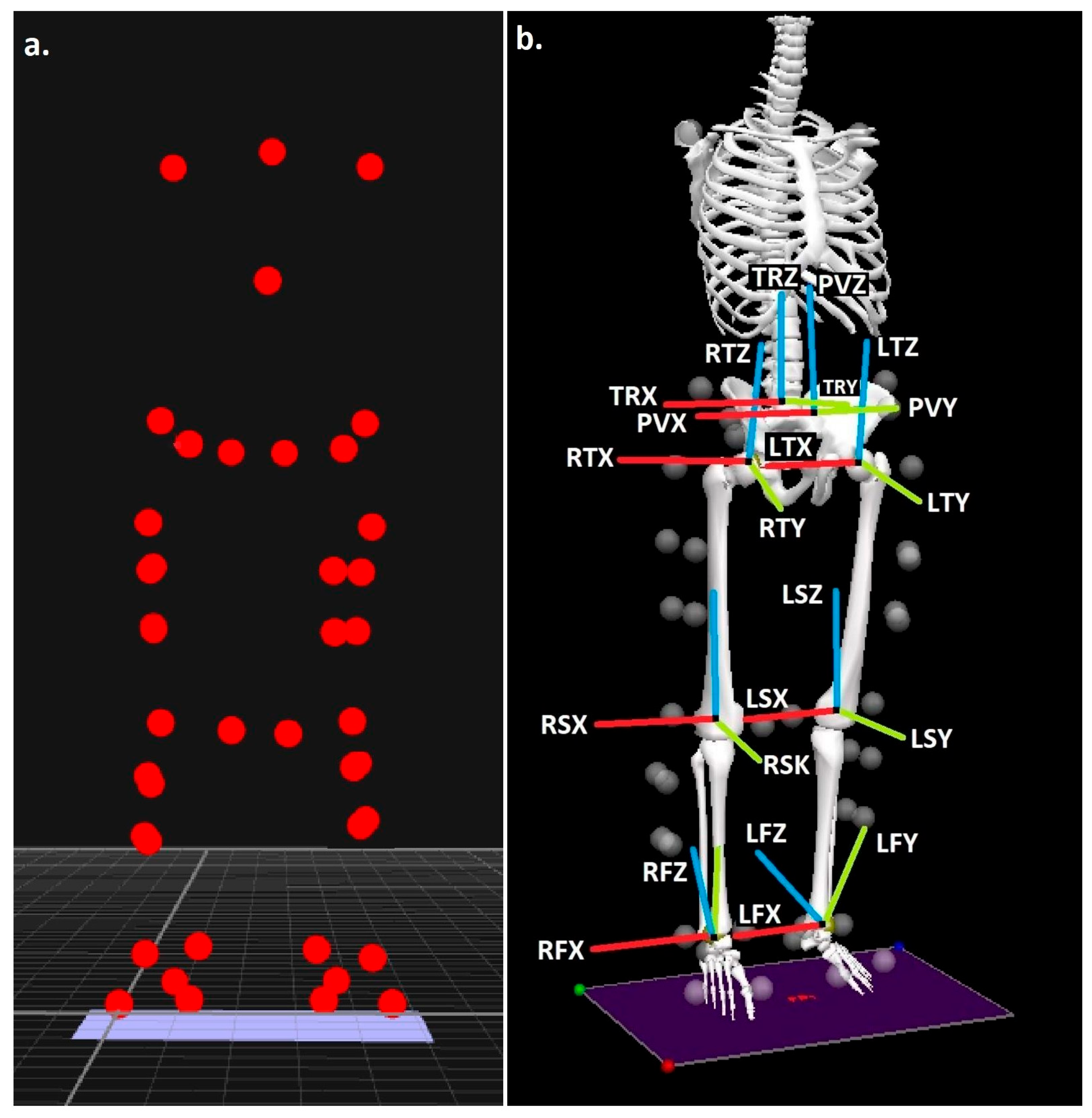 Life 15 01677 g001 Life 15 01677 g001
