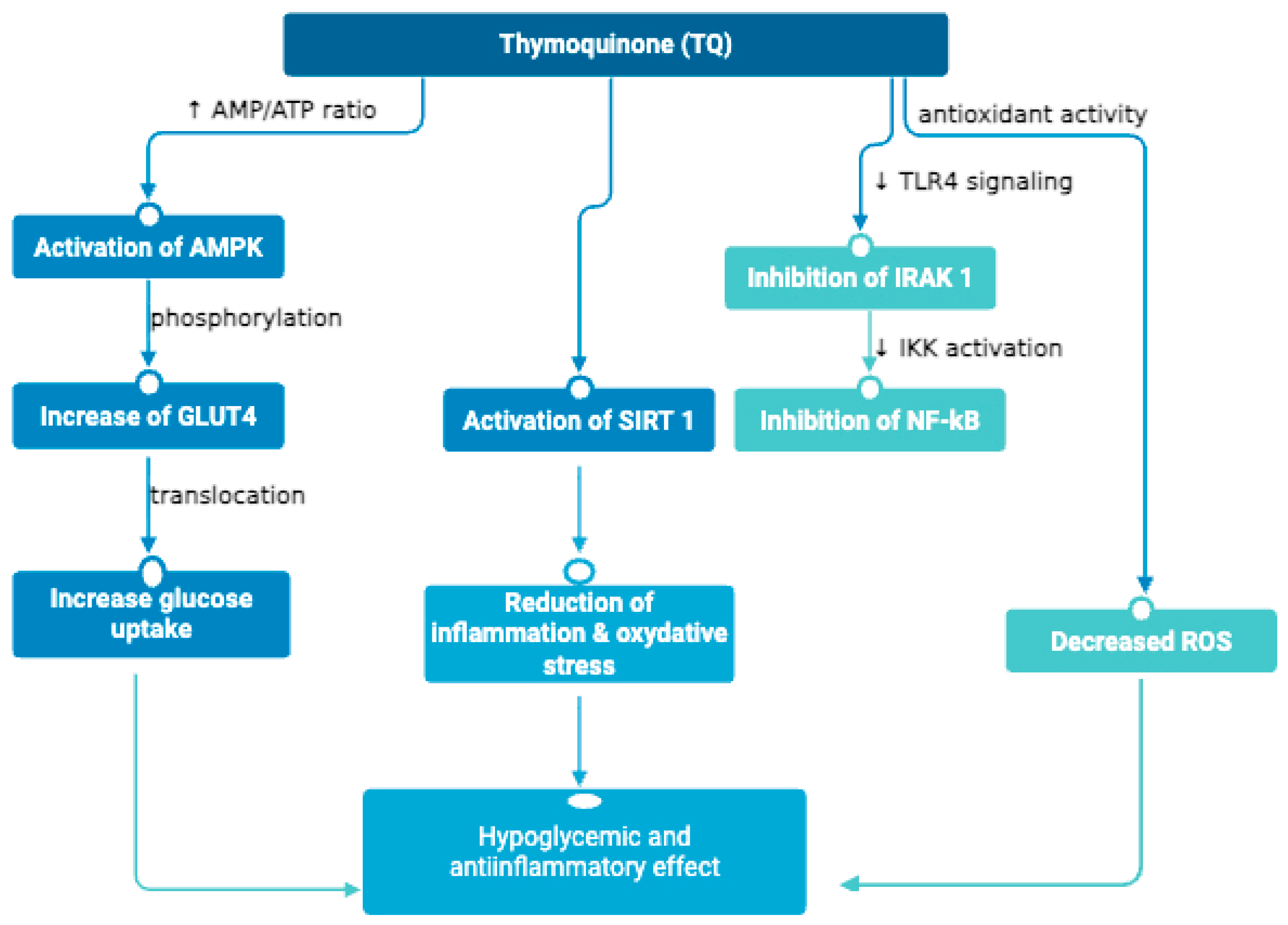 Life 15 01681 g003 Life 15 01681 g003
