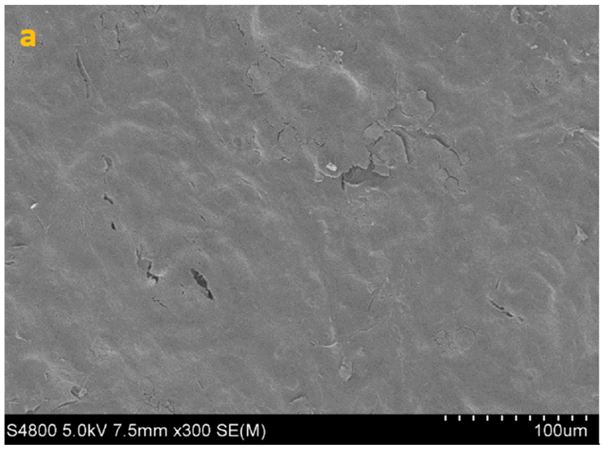 Life 15 01685 g003a Life 15 01685 g003a