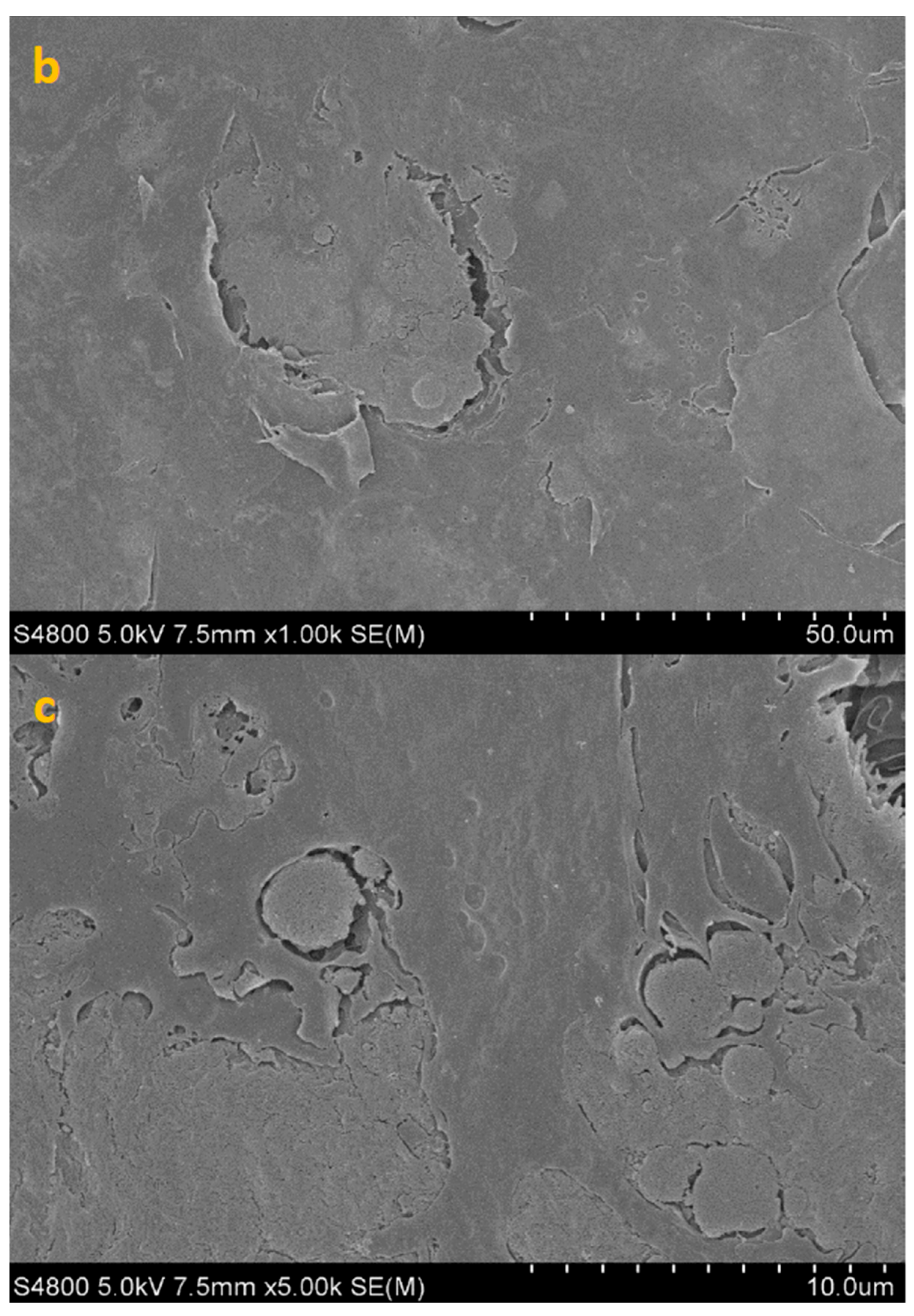 Life 15 01685 g003b Life 15 01685 g003b