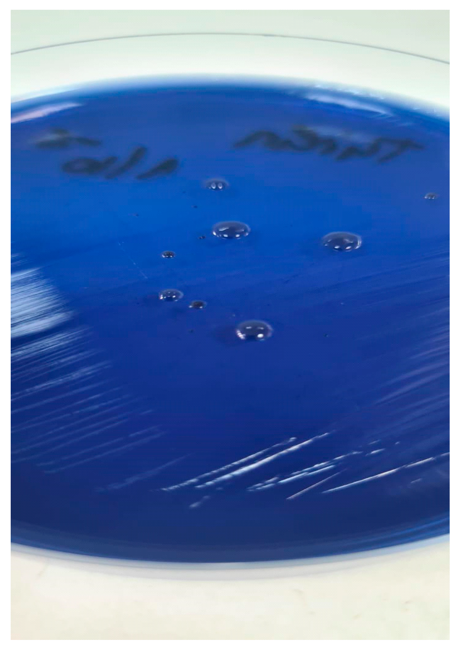 Life 15 01695 g001 Life 15 01695 g001