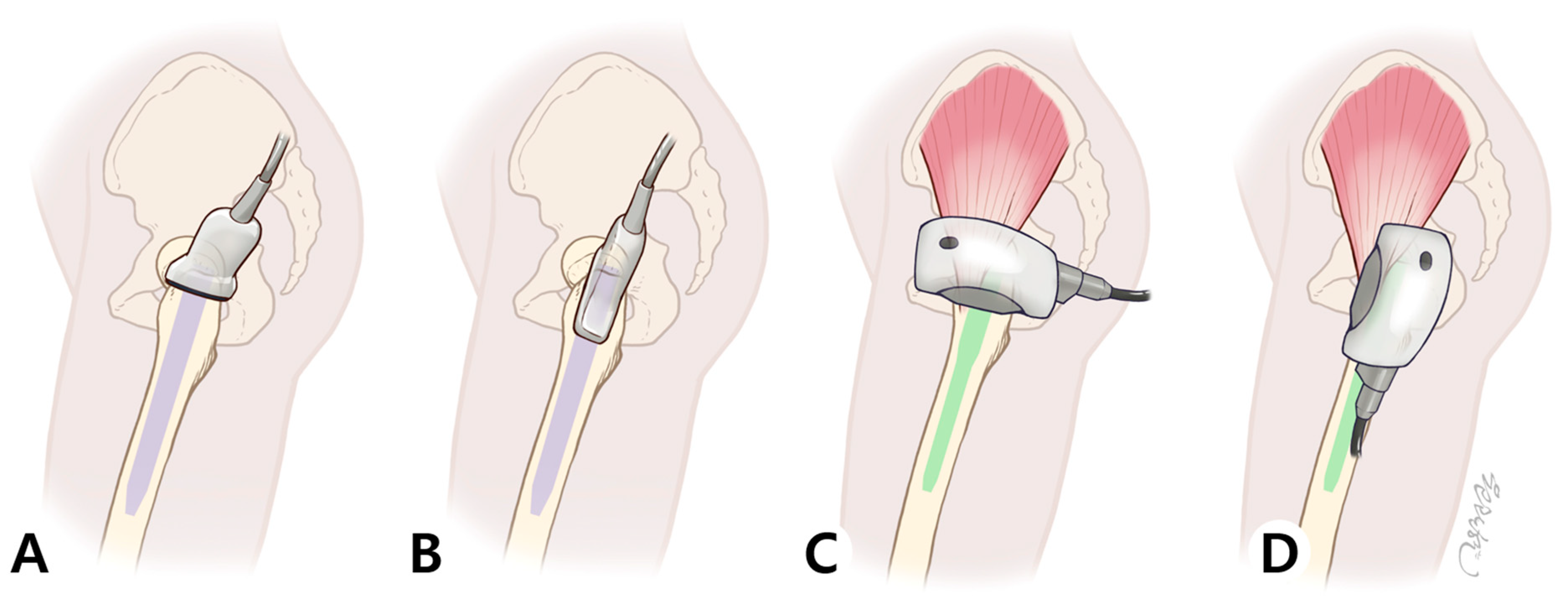 Life 15 01704 g002 Life 15 01704 g002