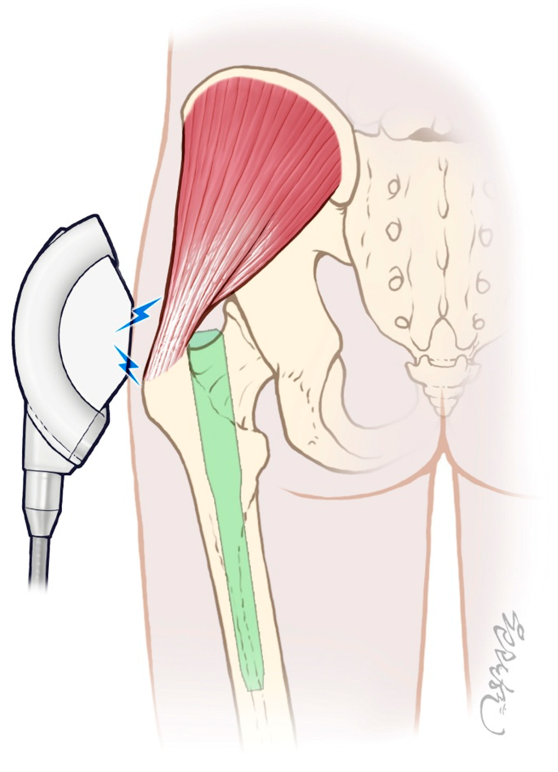 Life 15 01704 g004 Life 15 01704 g004