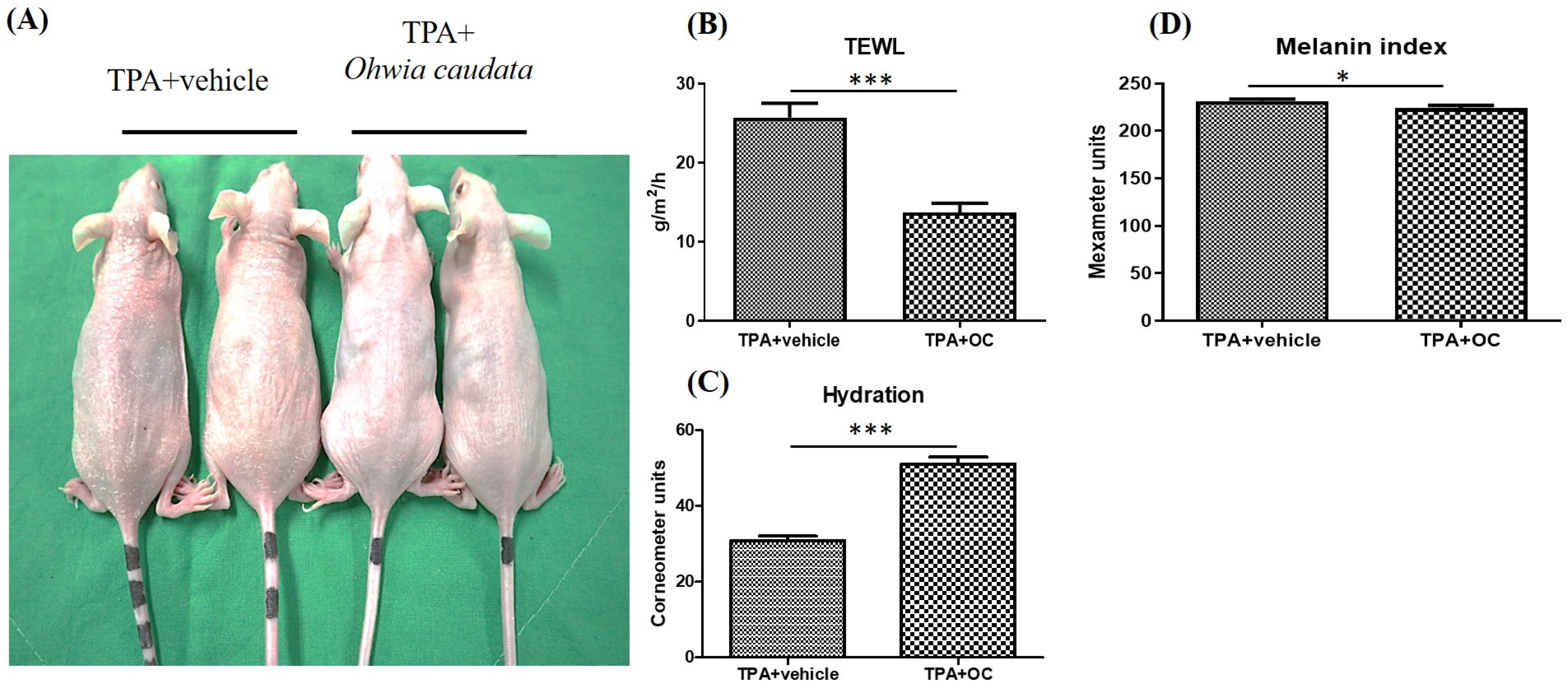 Life 15 01707 g002 Life 15 01707 g002