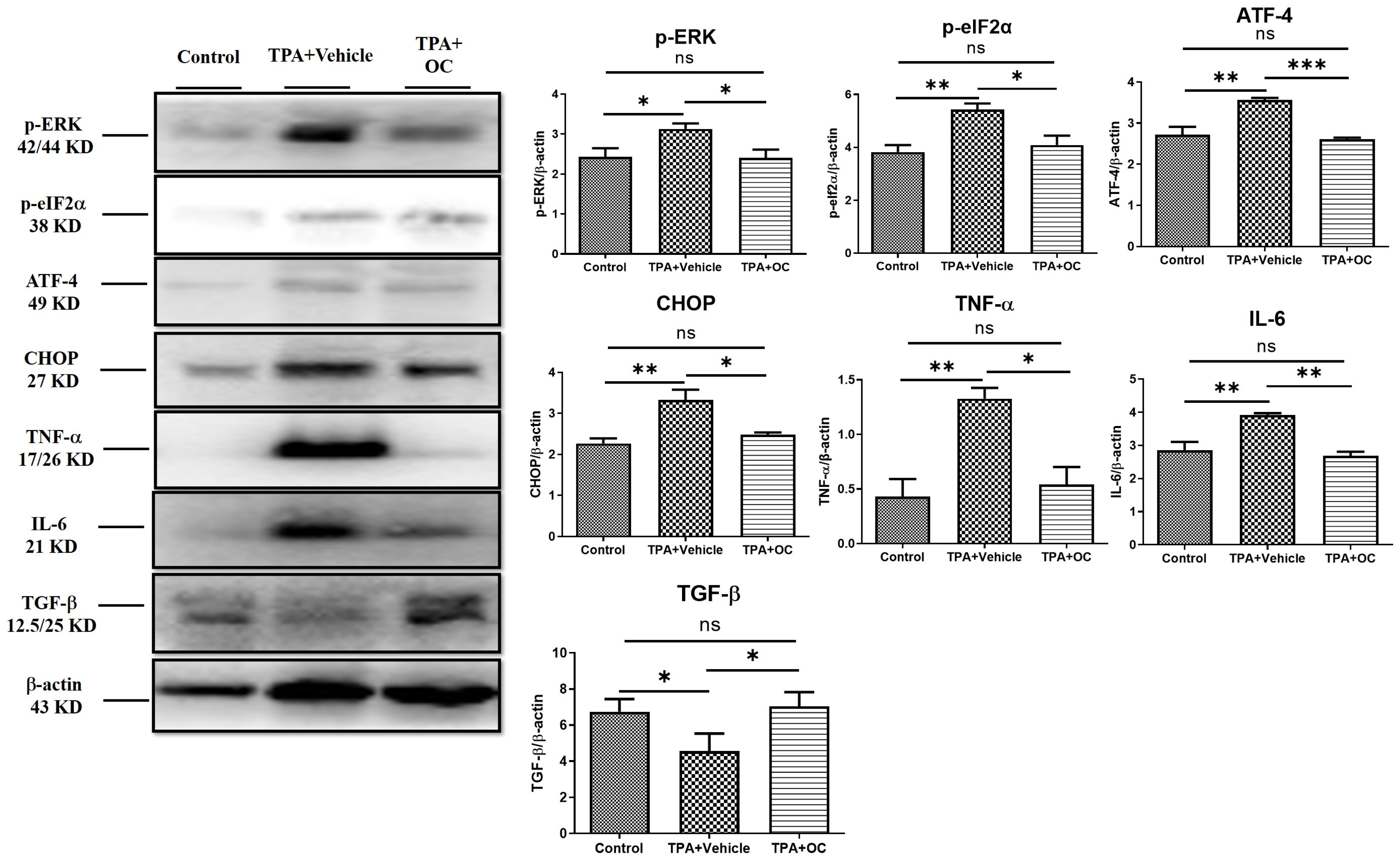 Life 15 01707 g003 Life 15 01707 g003