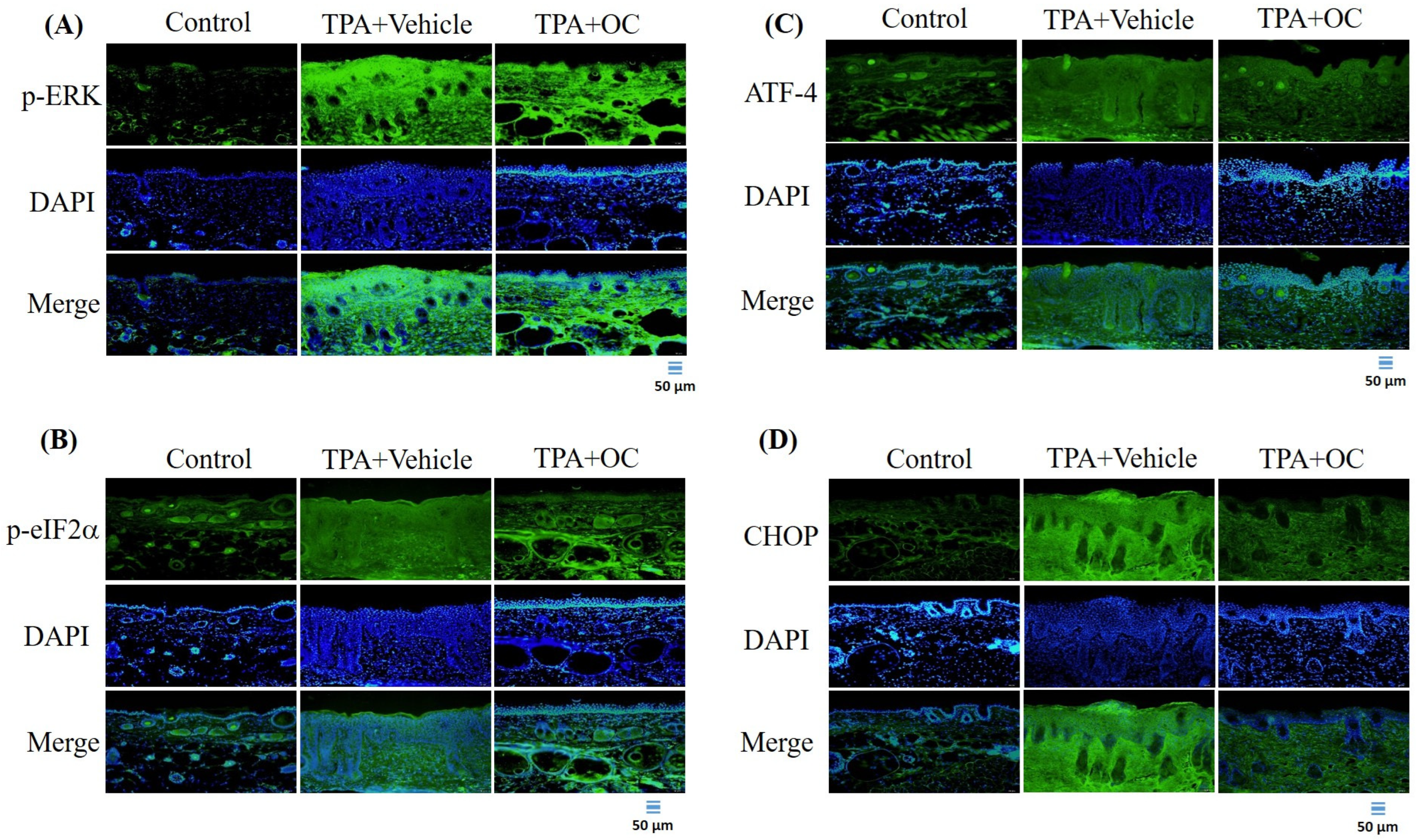 Life 15 01707 g005 Life 15 01707 g005