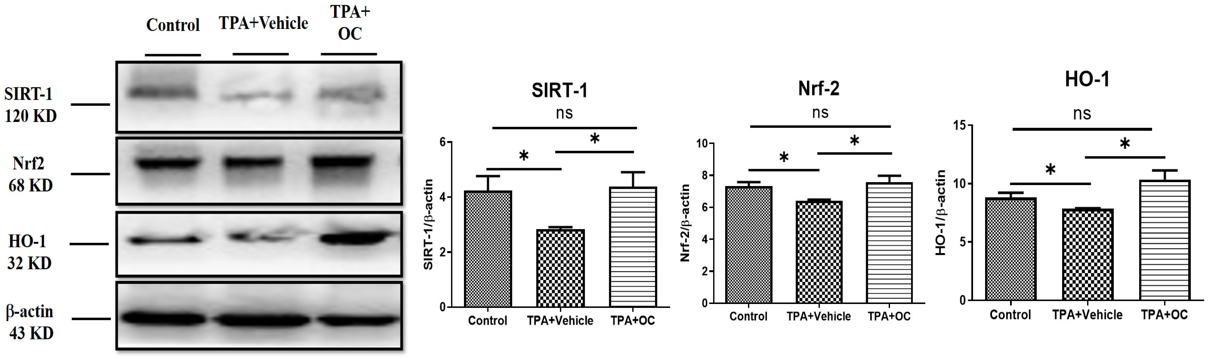 Life 15 01707 g007 Life 15 01707 g007