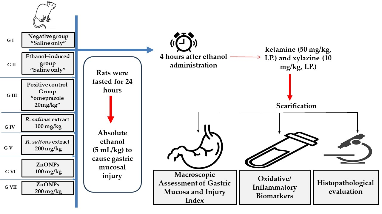 Life 15 01710 g001 Life 15 01710 g001