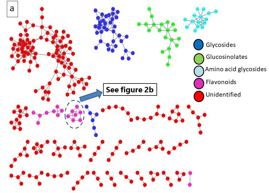Life 15 01710 g002a Life 15 01710 g002a