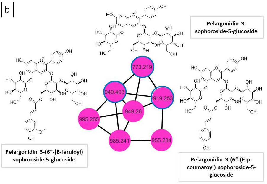 Life 15 01710 g002b Life 15 01710 g002b
