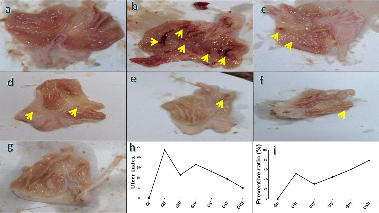 Life 15 01710 g007 Life 15 01710 g007