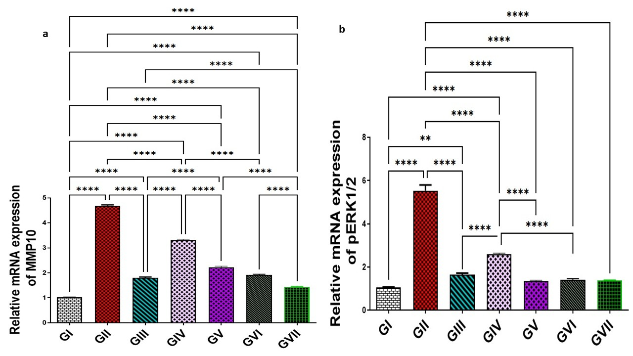 Life 15 01710 g010 Life 15 01710 g010