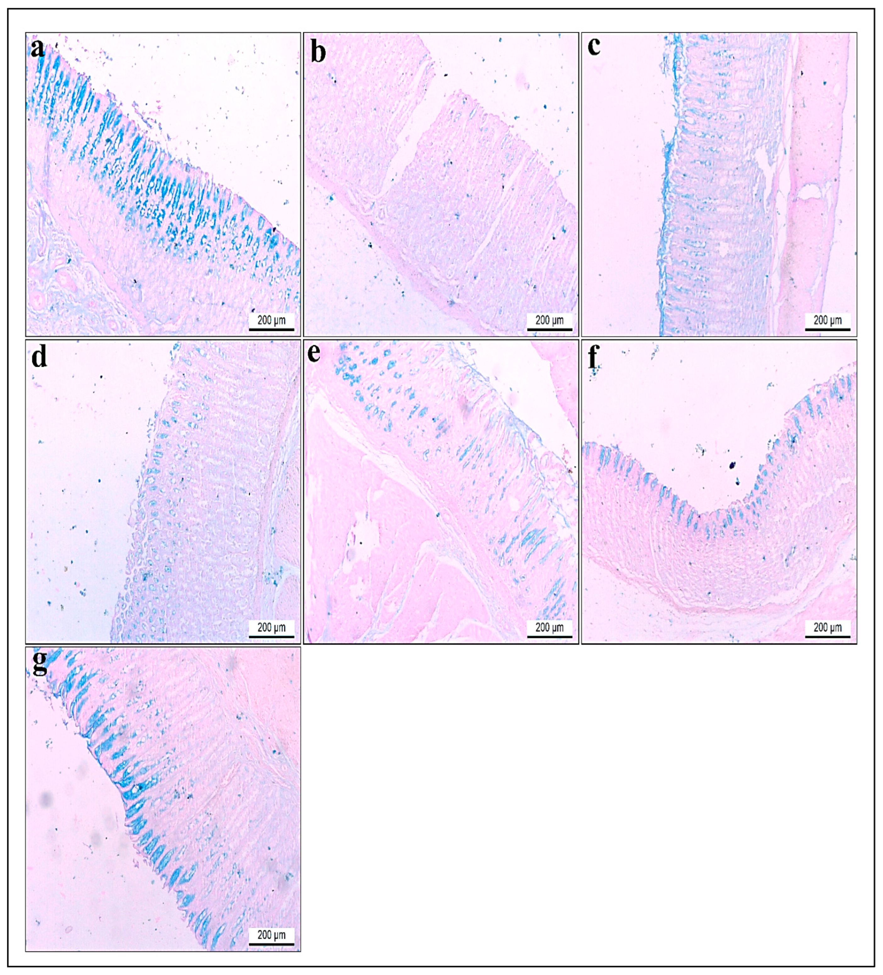 Life 15 01710 g012 Life 15 01710 g012