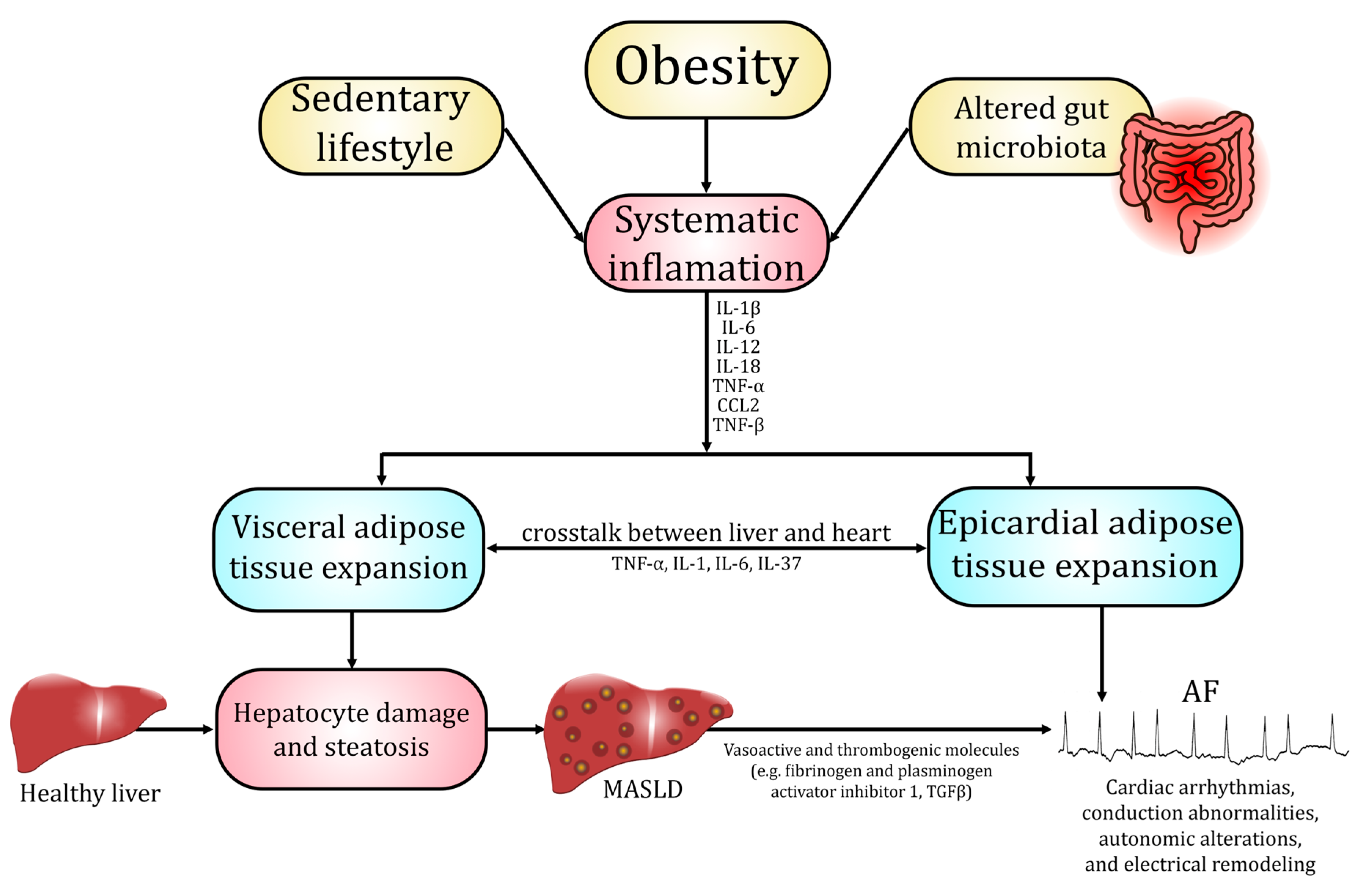Life 15 01713 g001 Life 15 01713 g001