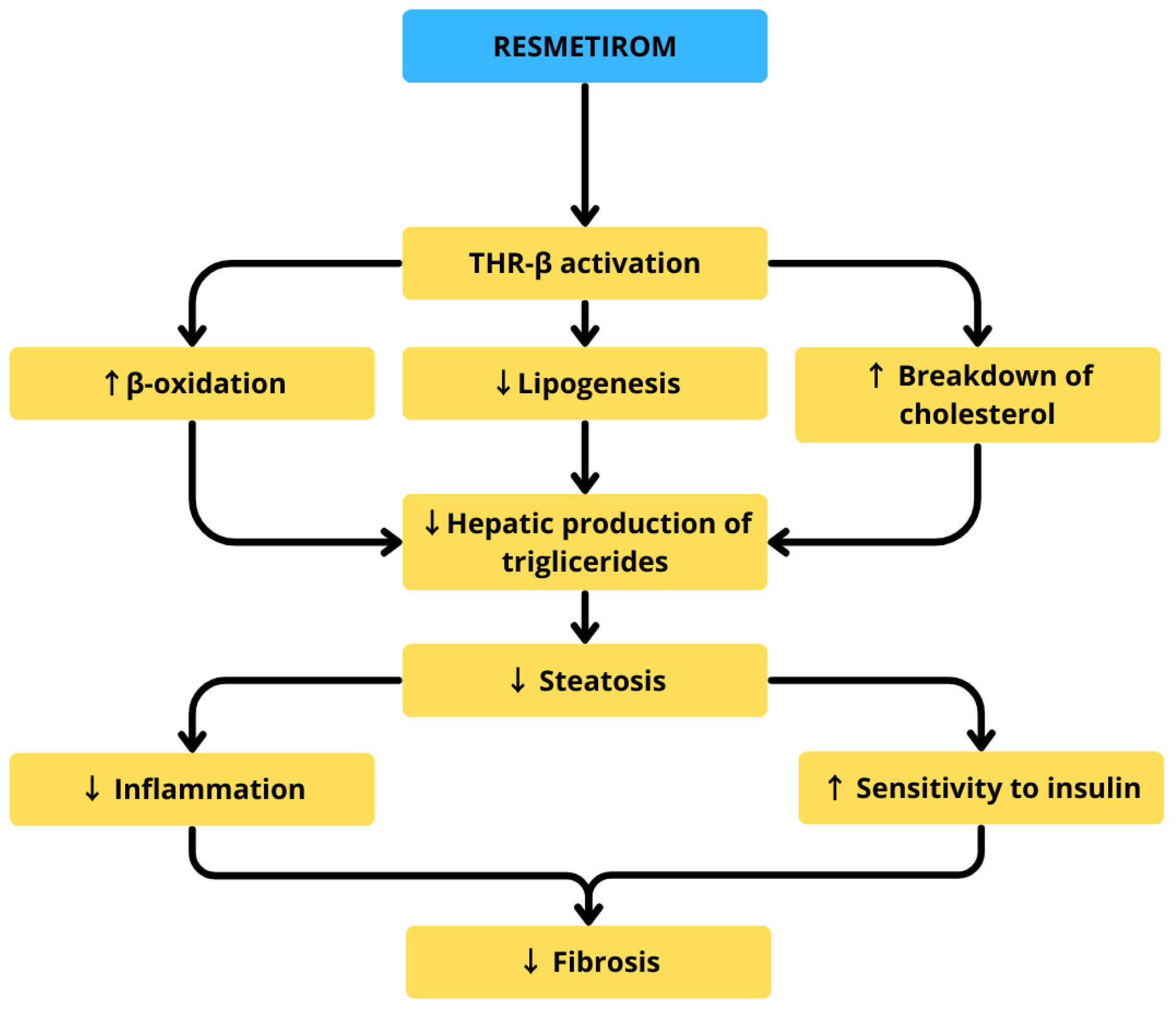 Life 15 01713 g004 Life 15 01713 g004