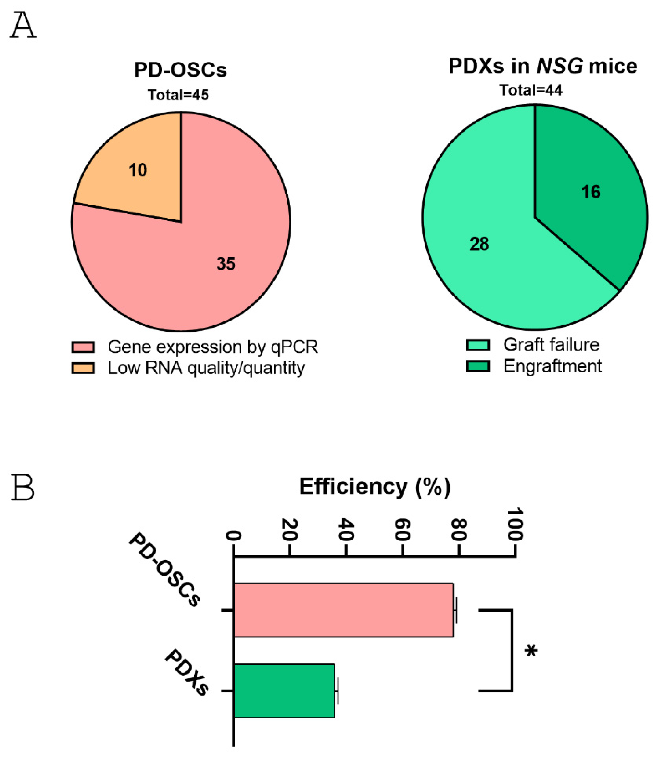 Life 15 01719 g006 Life 15 01719 g006