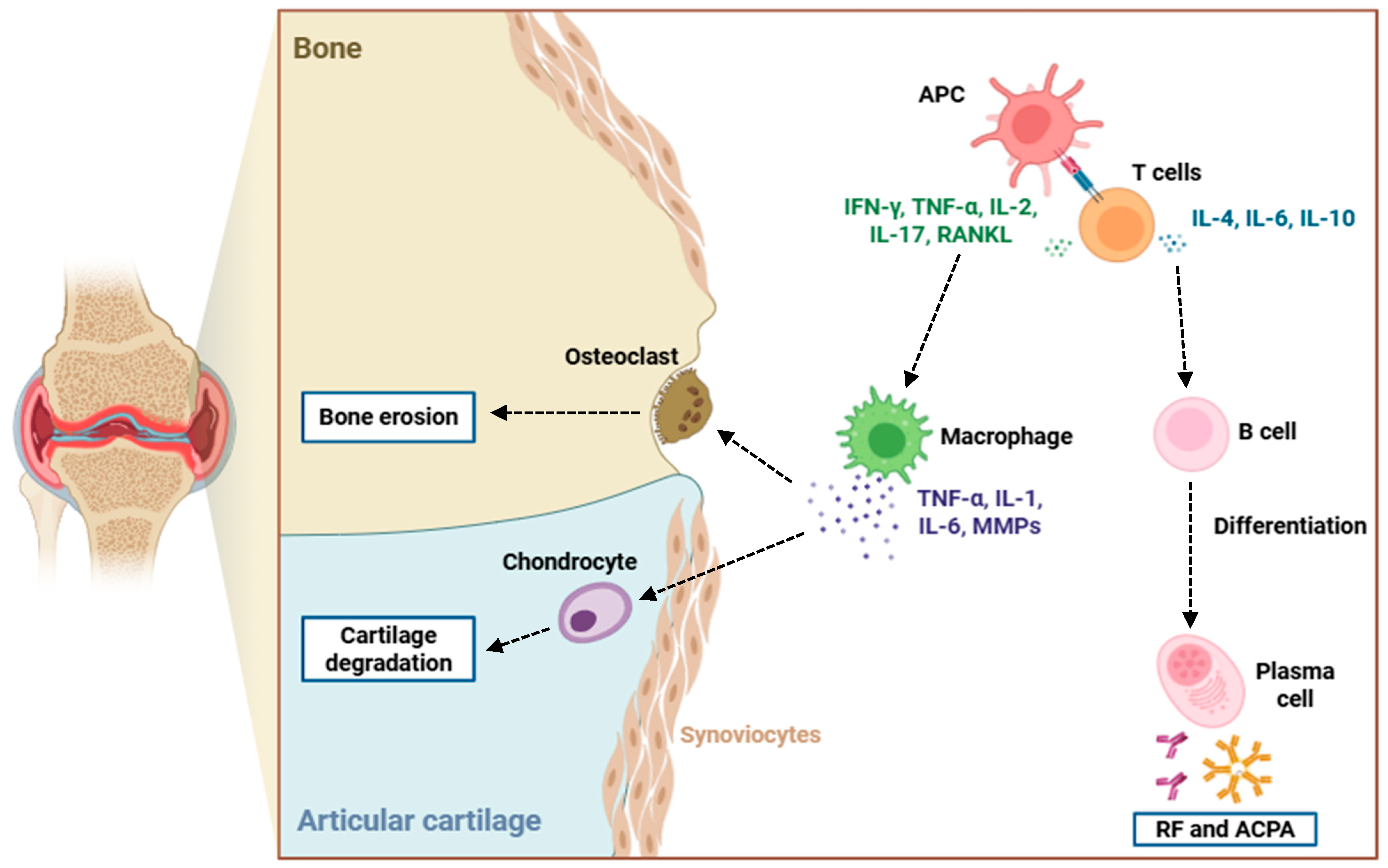 Life 15 01737 g001 Life 15 01737 g001