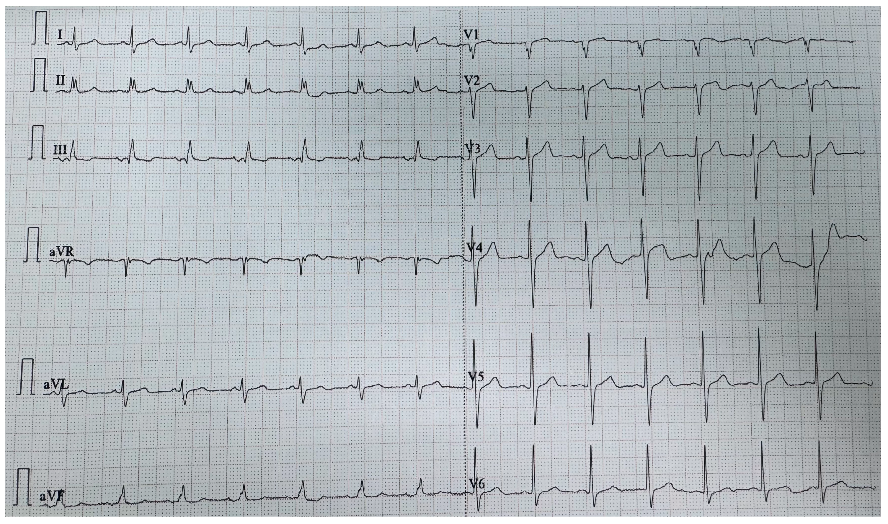 Life 15 01750 g001 Life 15 01750 g001