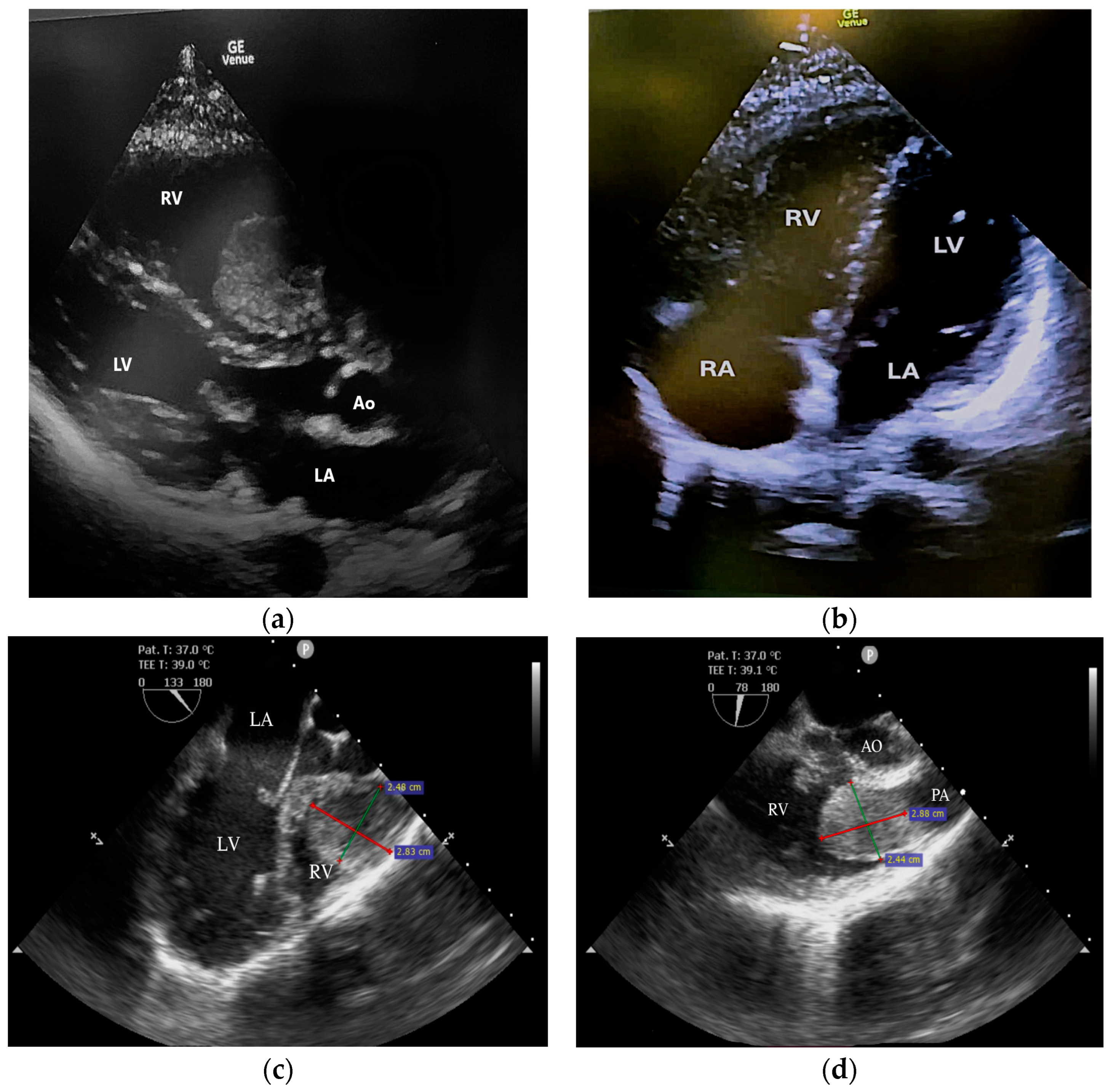 Life 15 01750 g002 Life 15 01750 g002