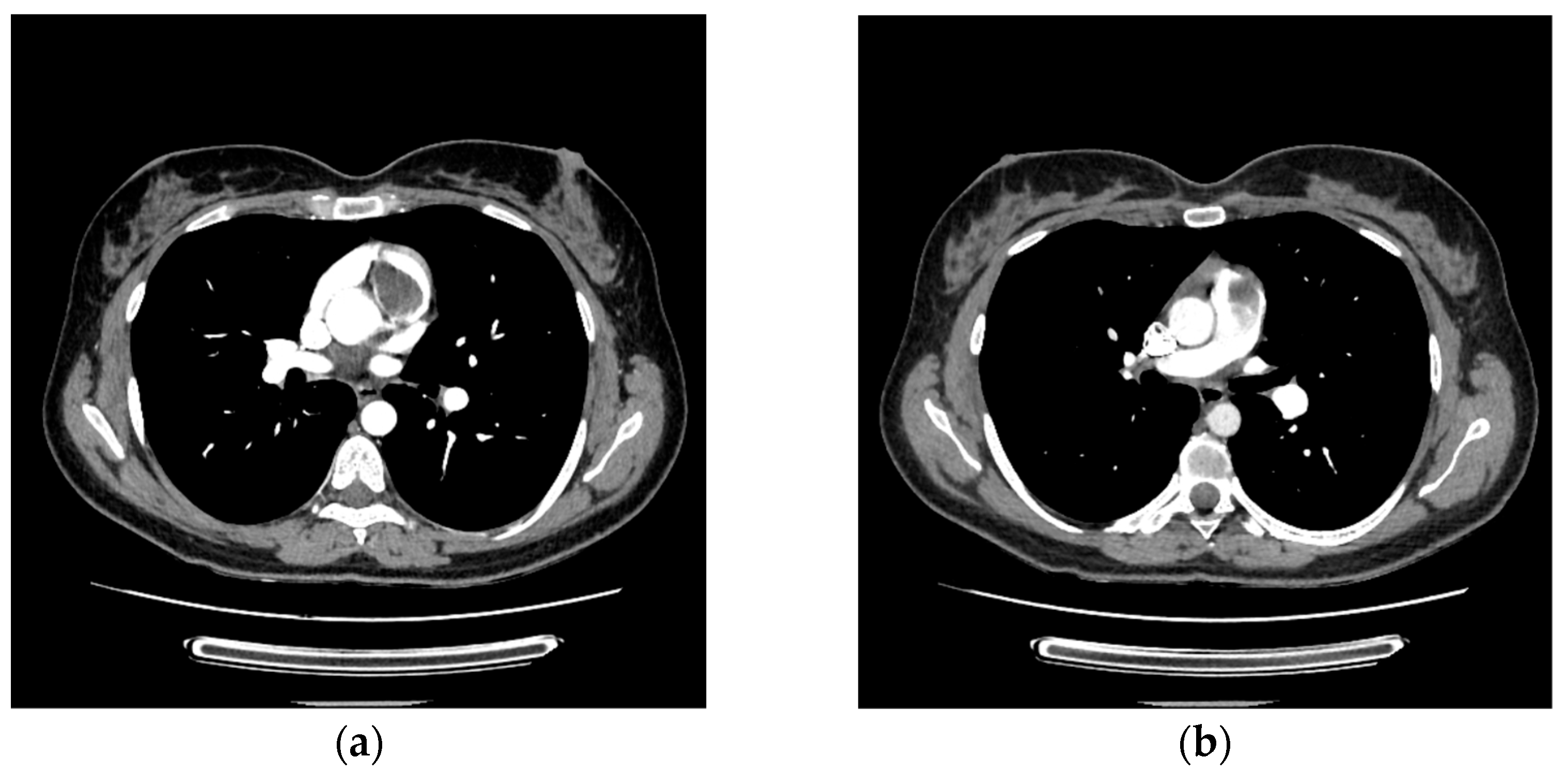 Life 15 01750 g003 Life 15 01750 g003
