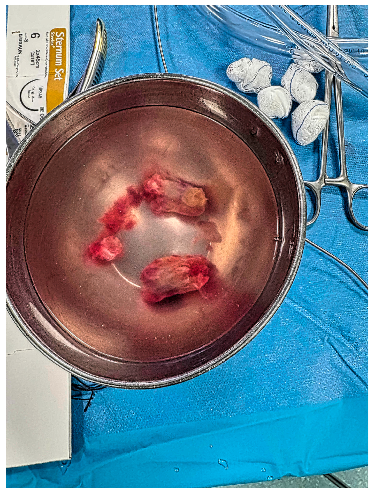 Life 15 01750 g004 Life 15 01750 g004