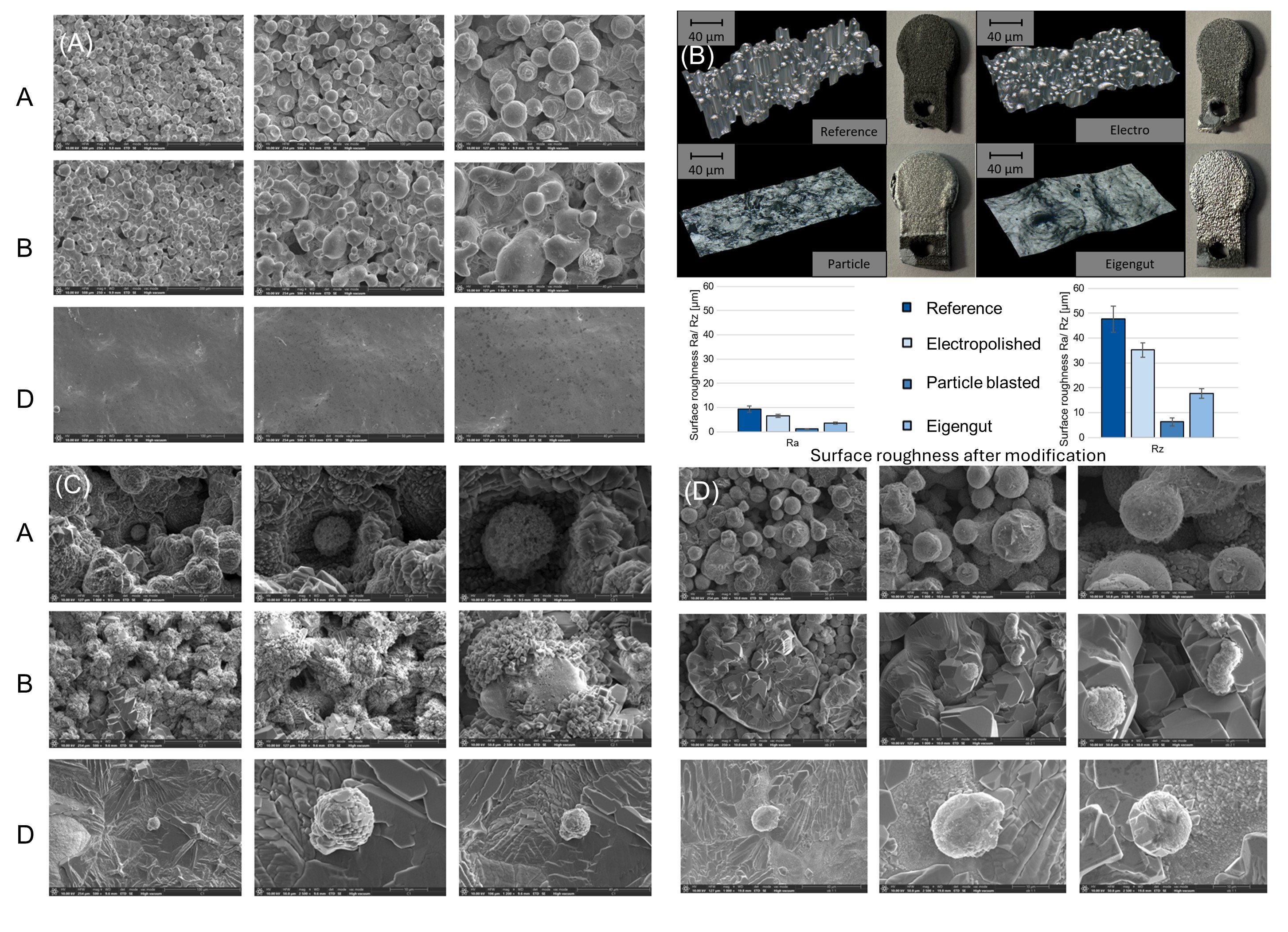 Life 15 01755 g003 Life 15 01755 g003