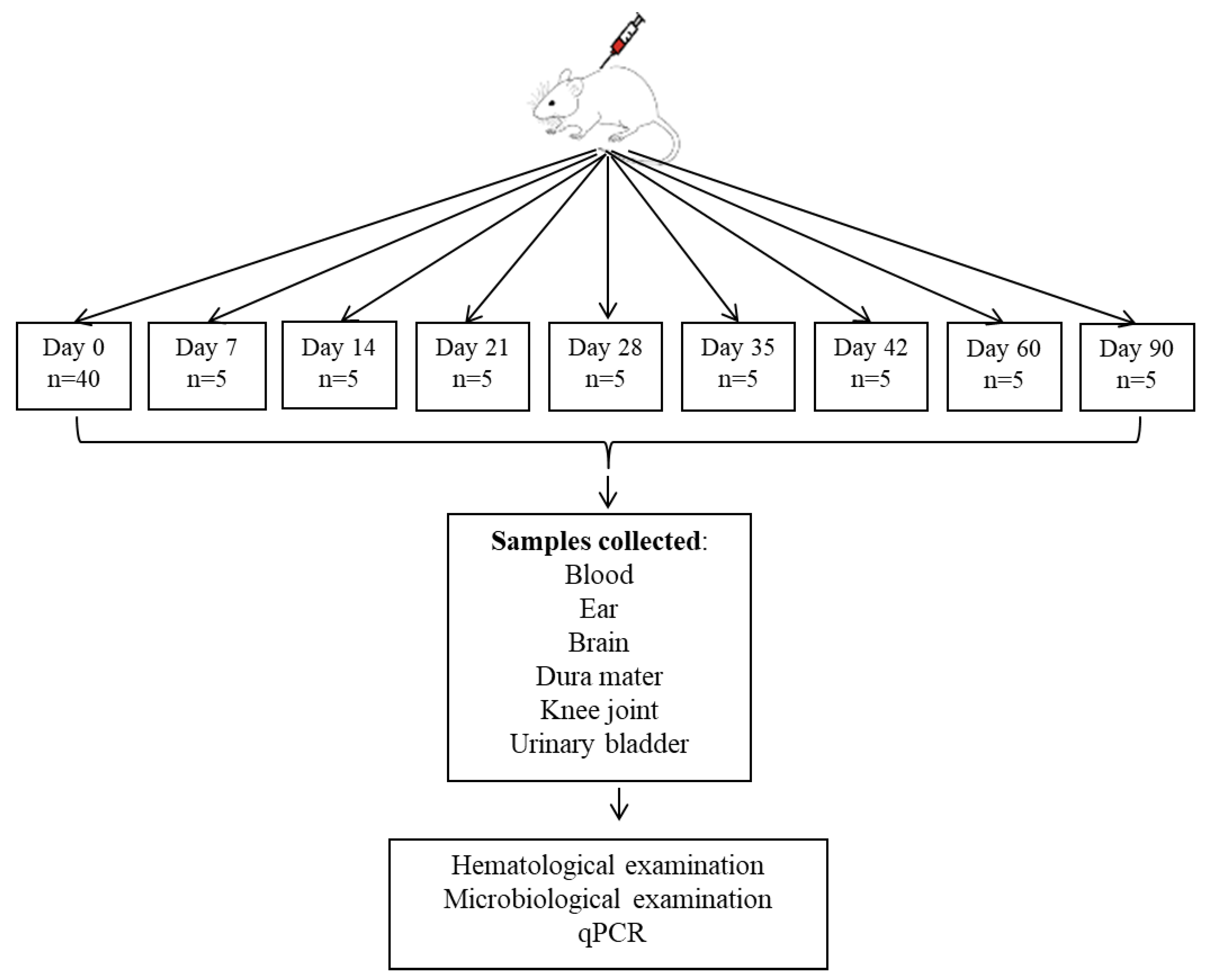 Life 15 01758 g001 Life 15 01758 g001