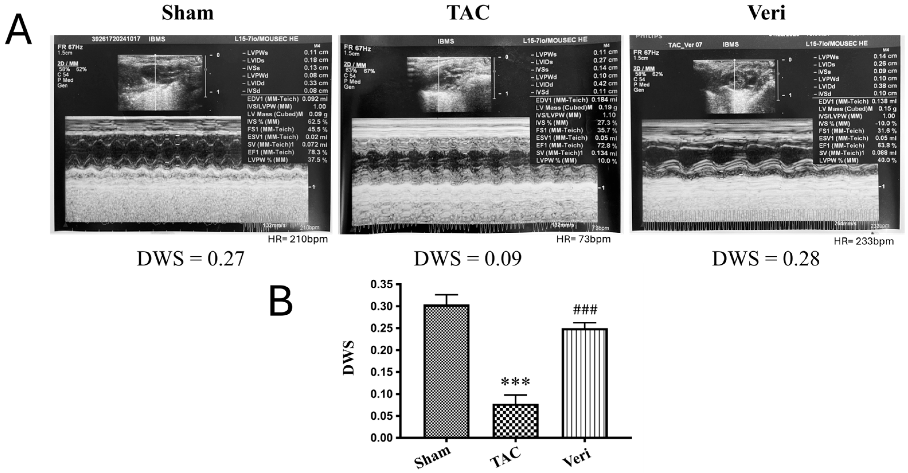 Life 15 01763 g001 Life 15 01763 g001