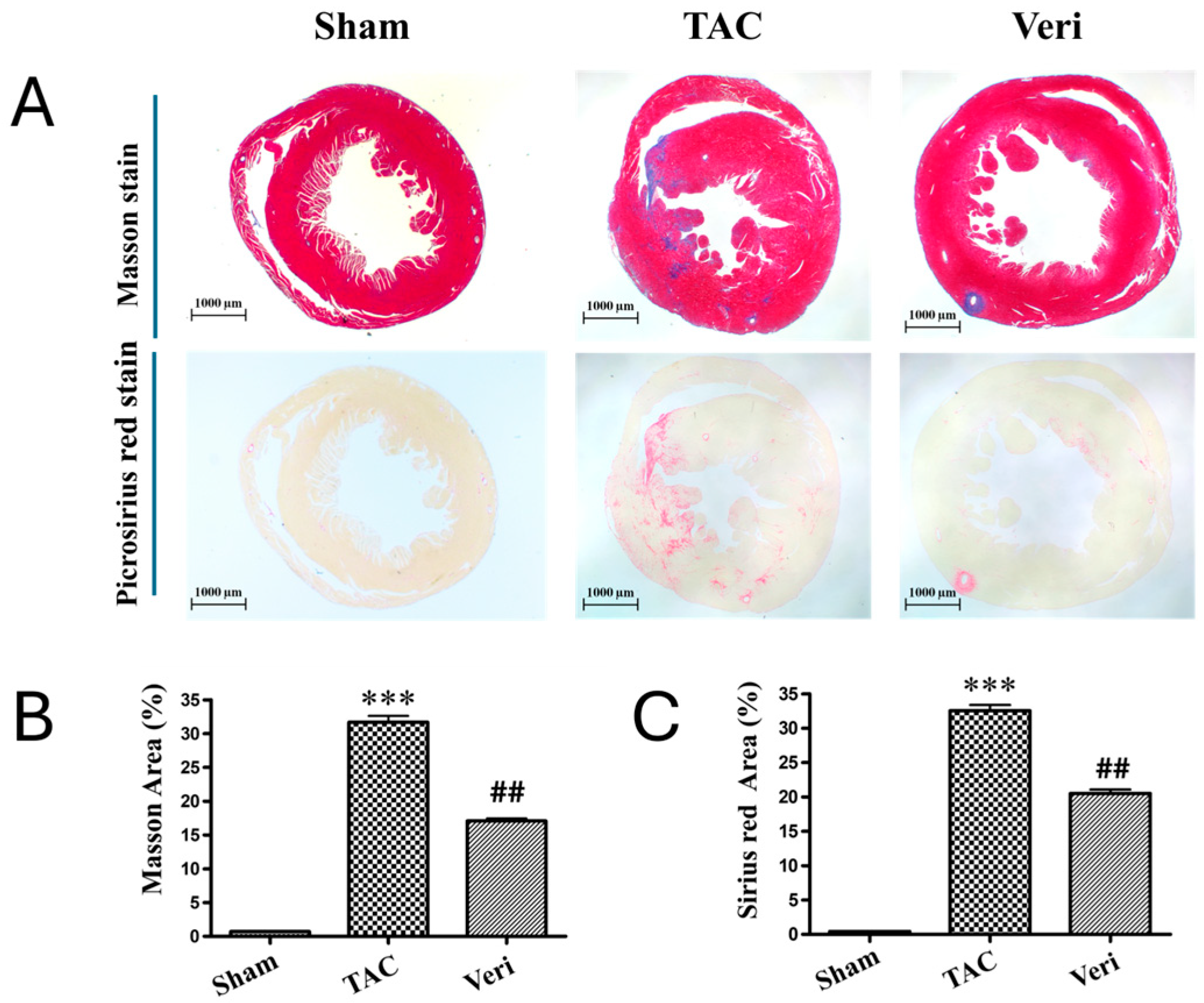 Life 15 01763 g003 Life 15 01763 g003
