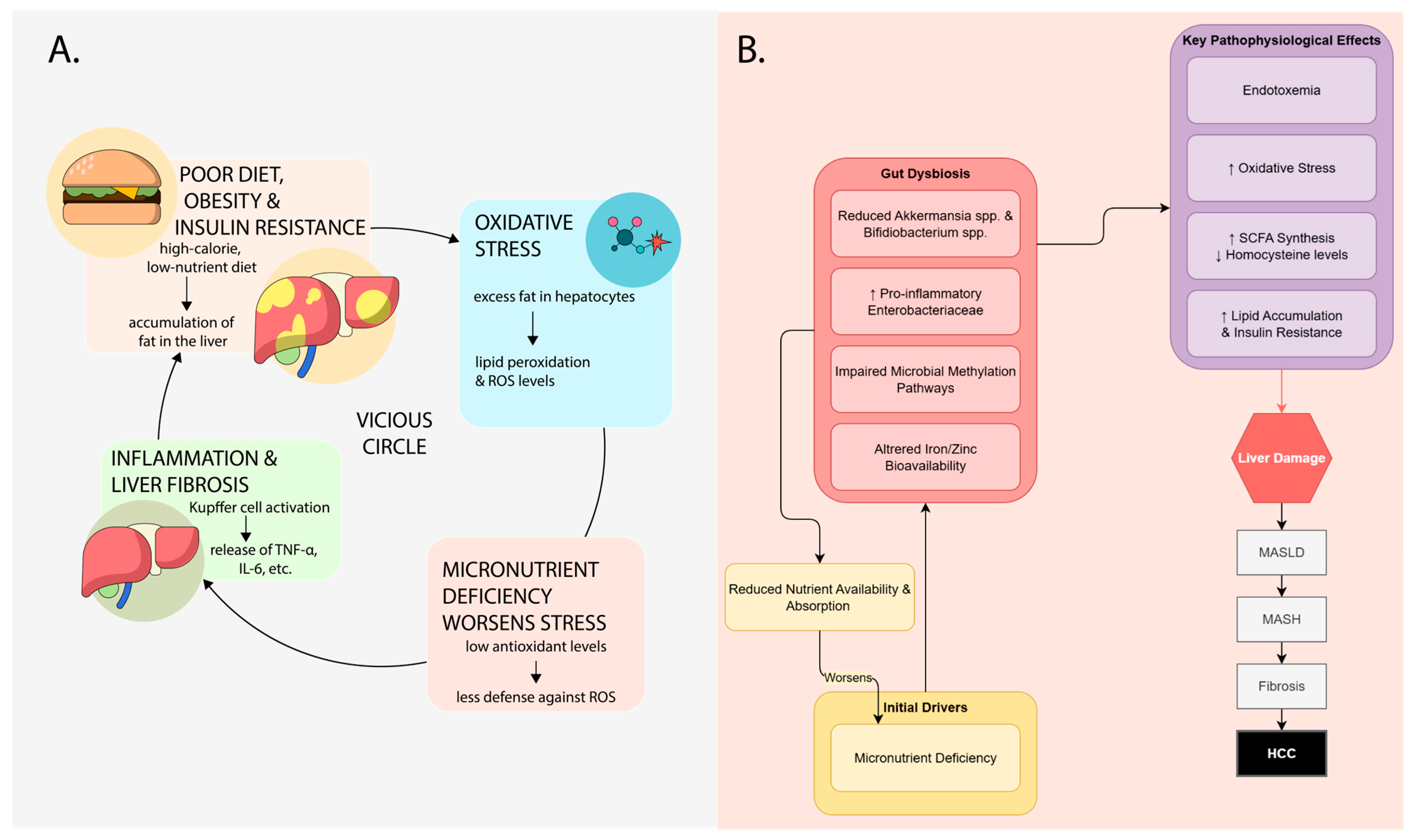 Life 15 01764 g001 Life 15 01764 g001