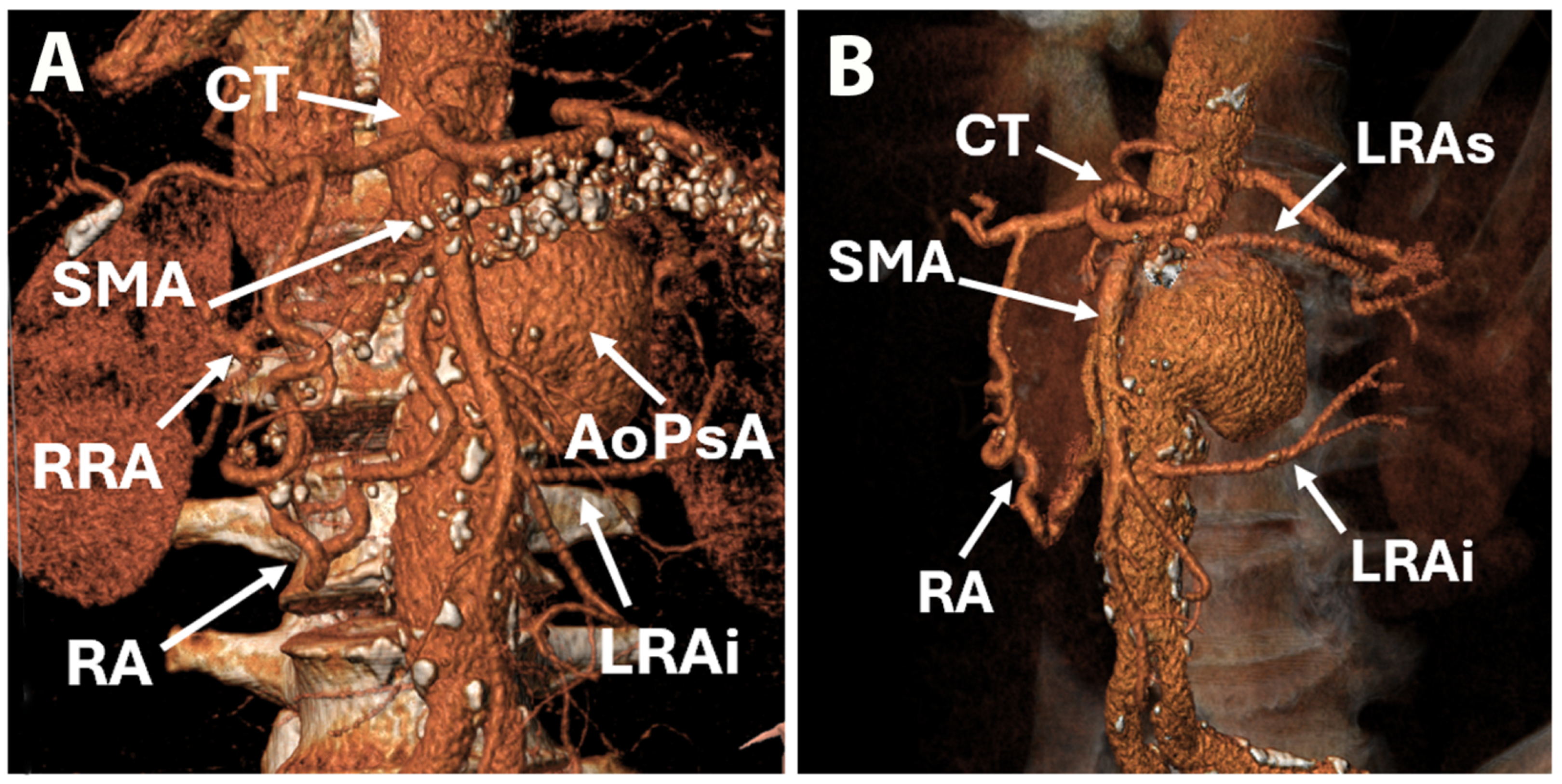 Life 15 01765 g001 Life 15 01765 g001