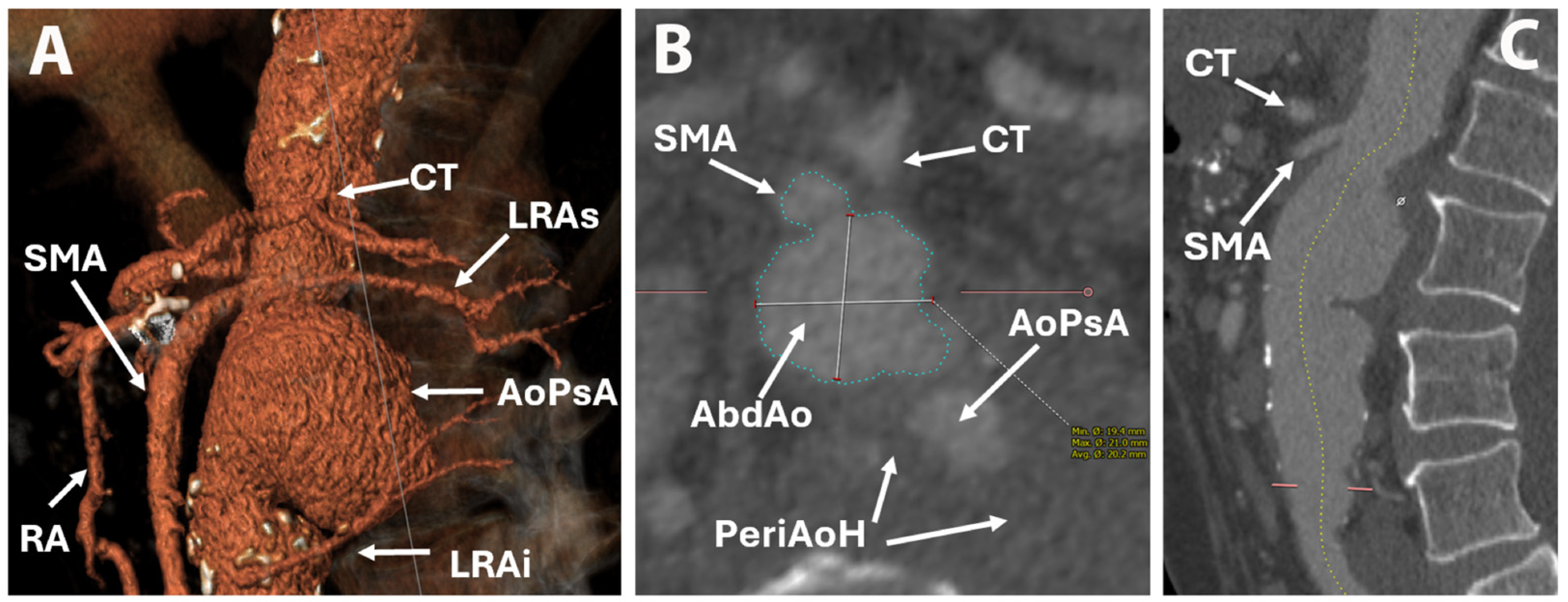 Life 15 01765 g003 Life 15 01765 g003