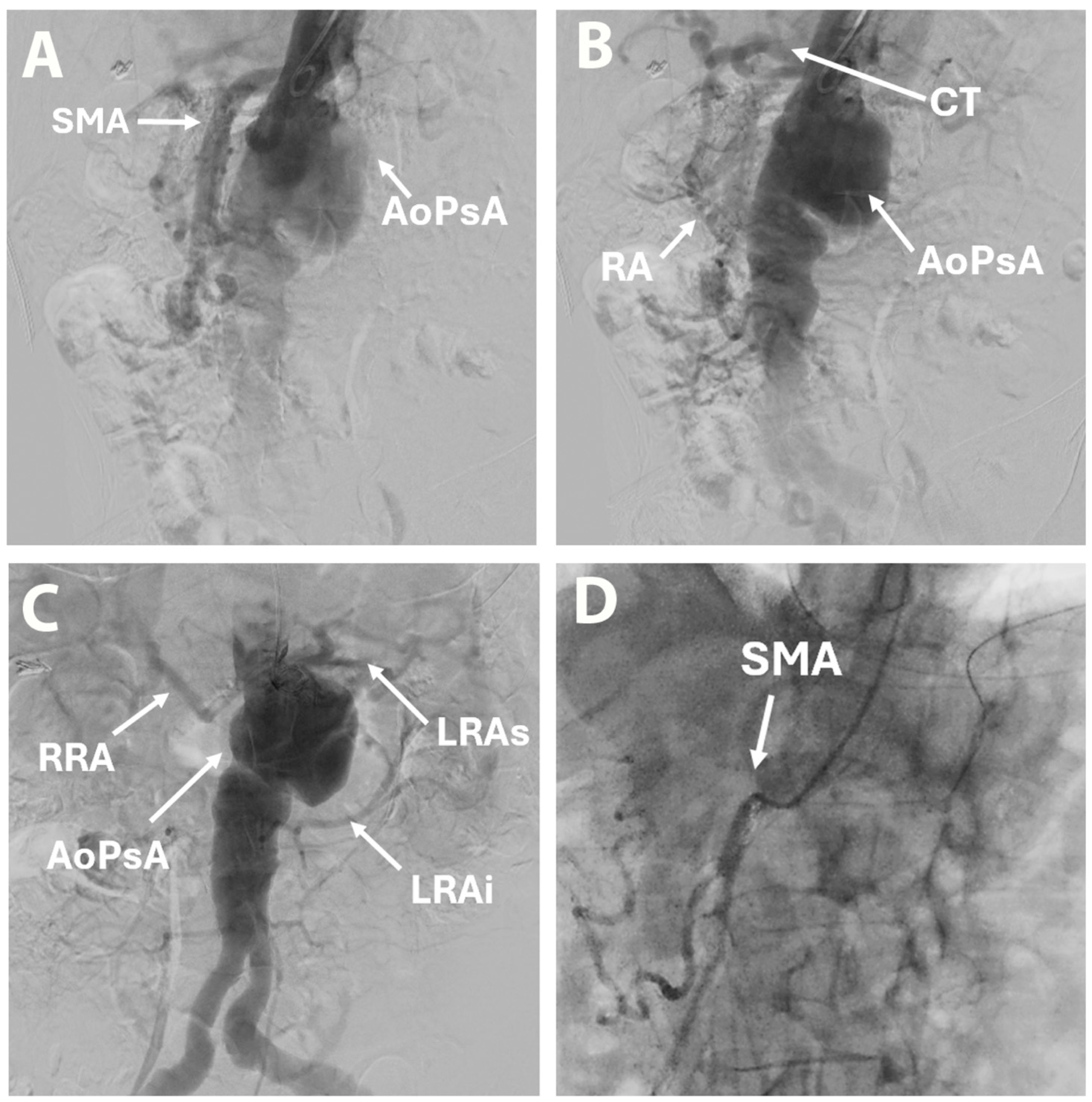 Life 15 01765 g004 Life 15 01765 g004