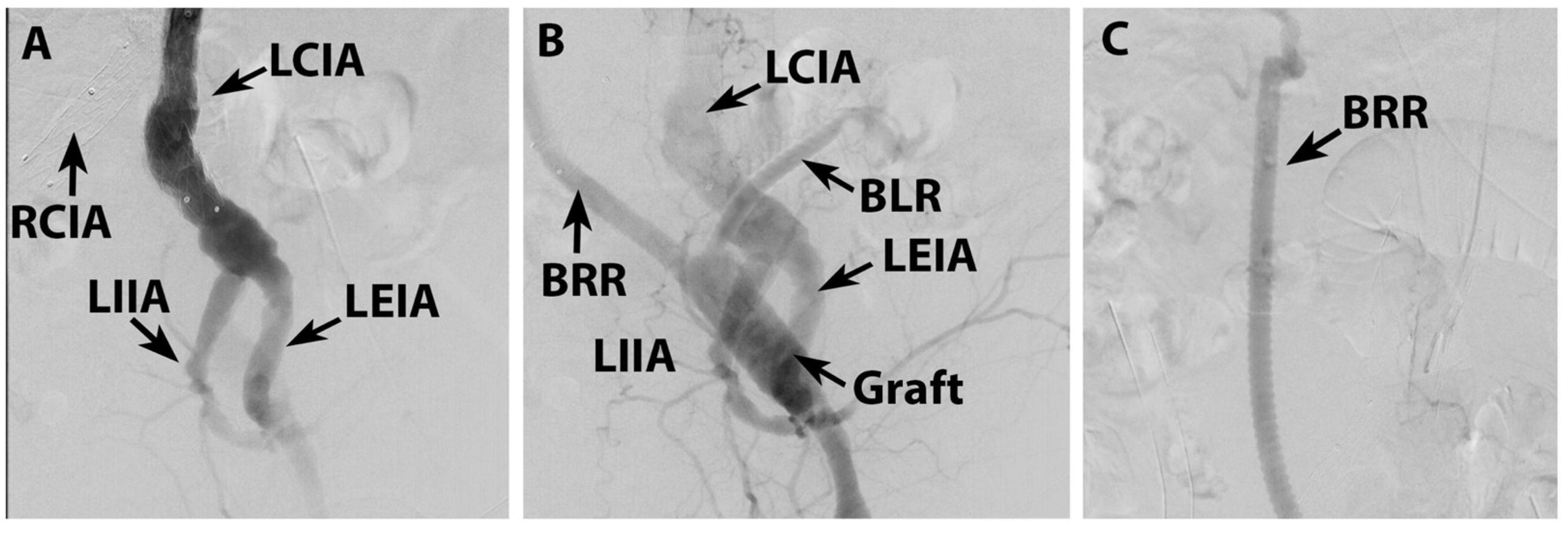 Life 15 01765 g008 Life 15 01765 g008