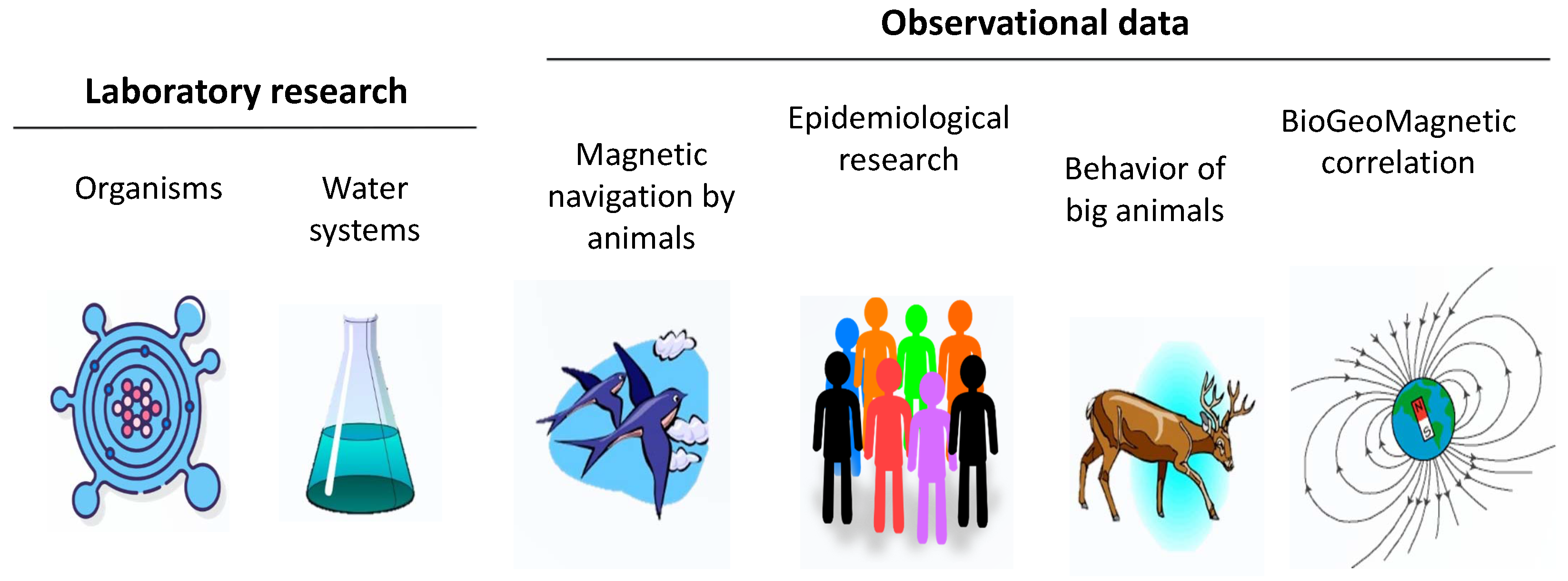 Life 15 01766 g001 Life 15 01766 g001